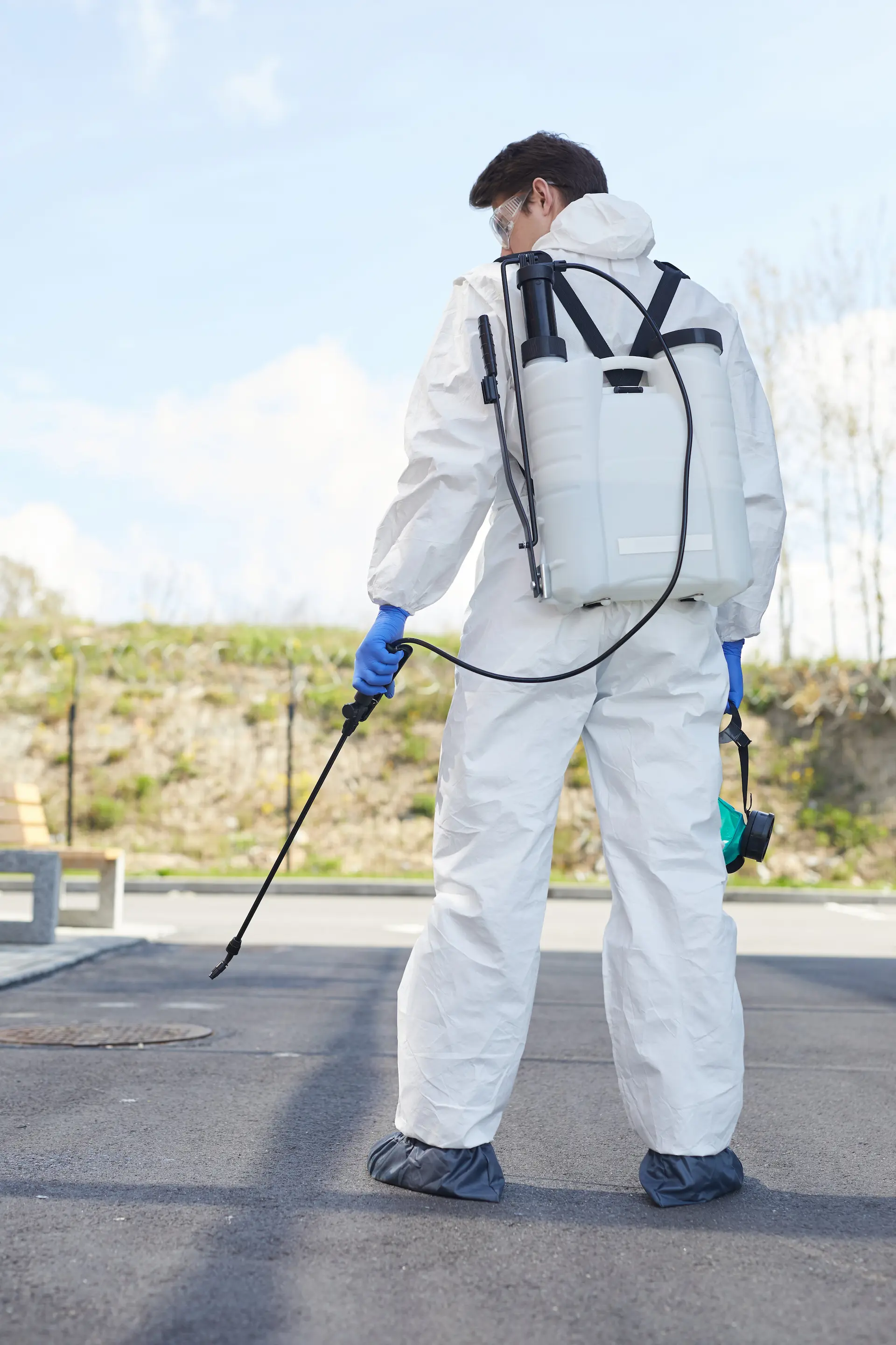 Pest Control London - Expertise and Safety