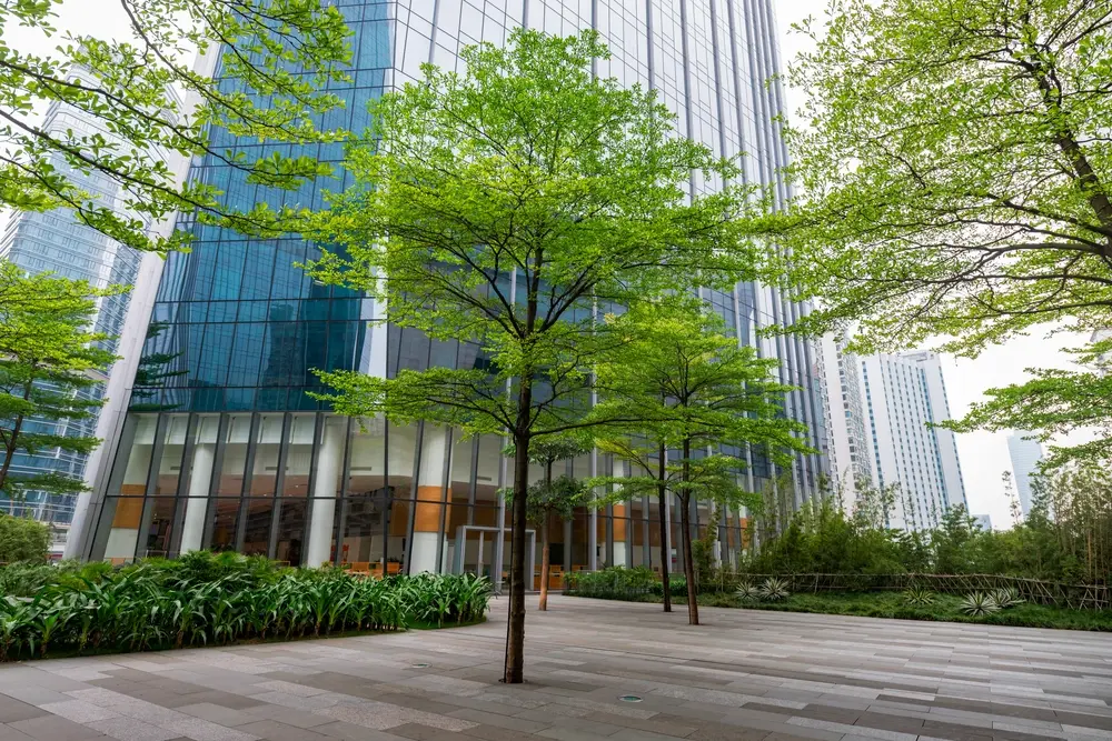 The Importance of Commercial Landscaping for Your Business