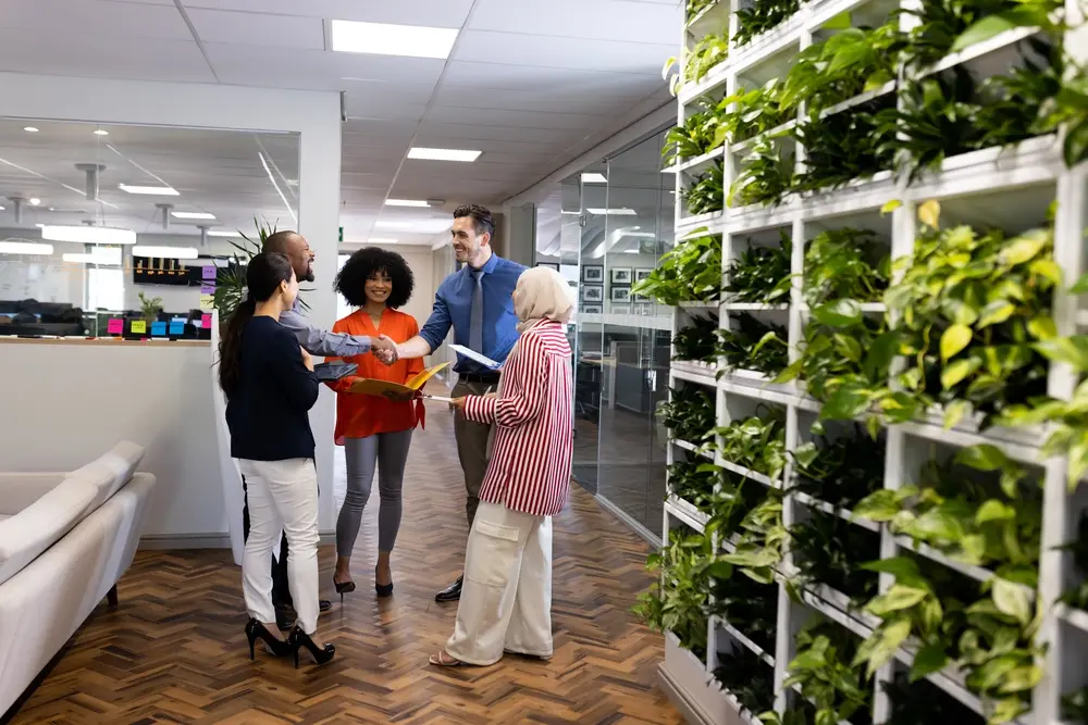 Indoor Landscaping - Our Approach