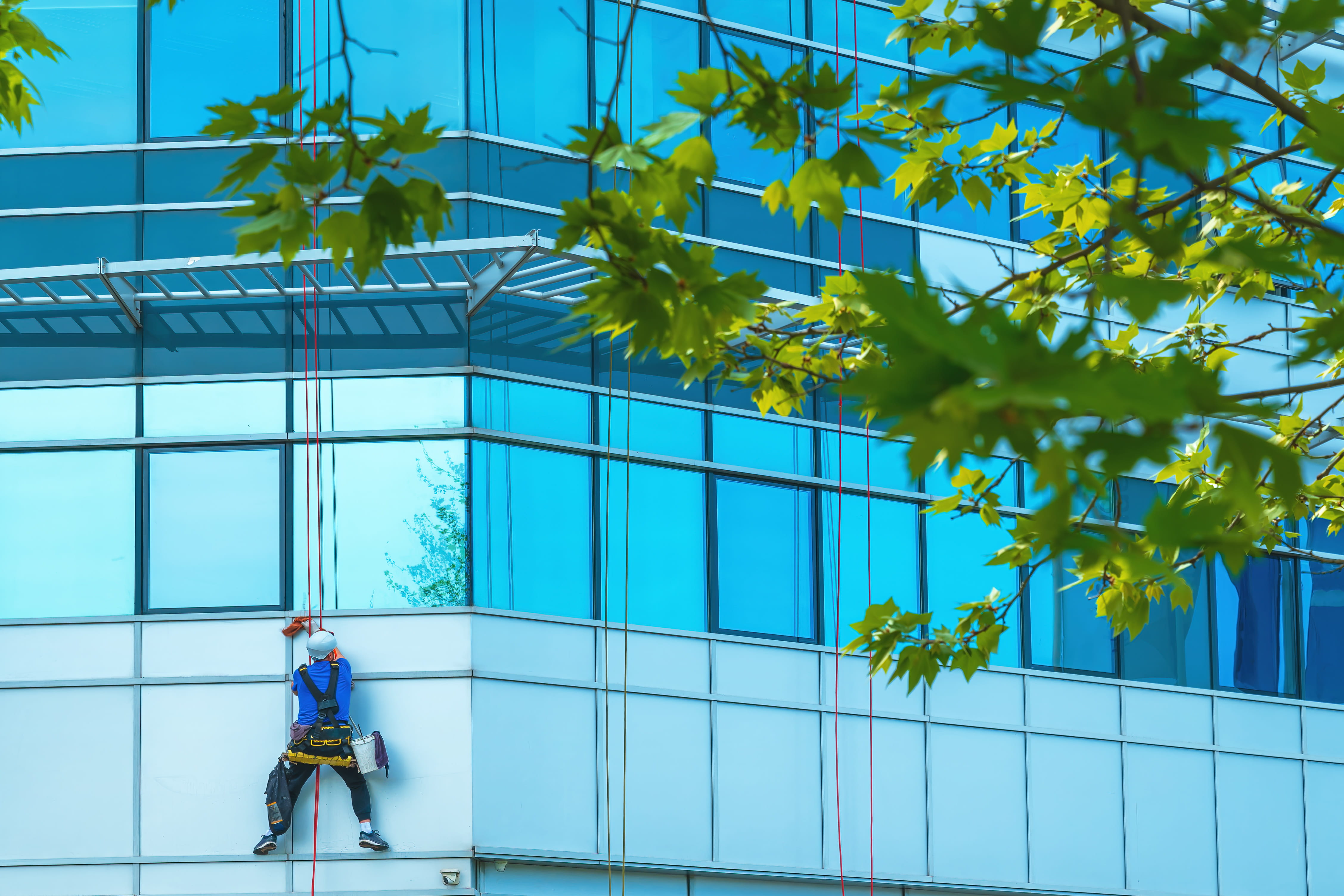 window-washer-cleaning-facade-of-modern-office-bui-2026-01-07-02-14-44-utc (1)