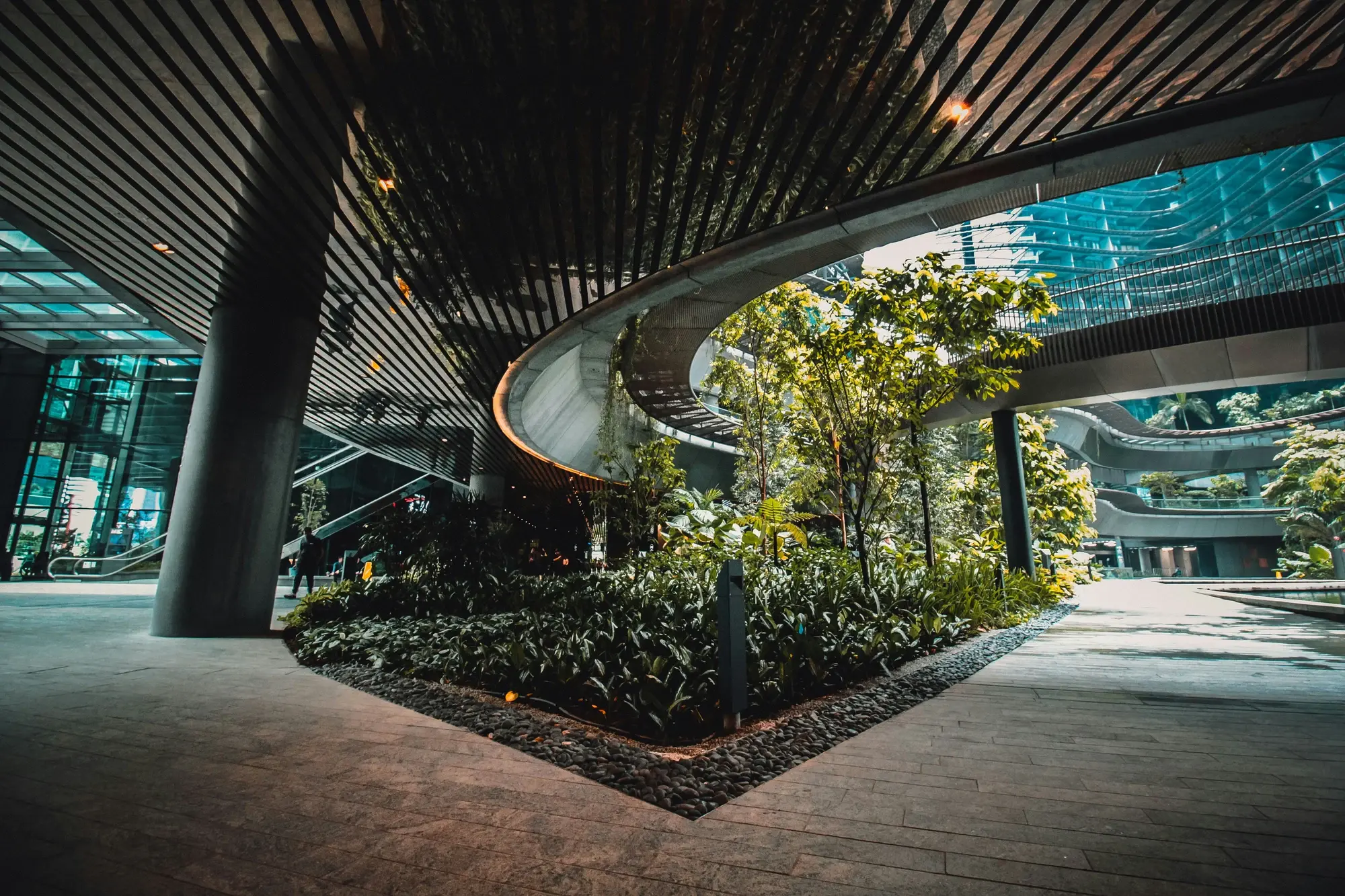 Property maintenance Wembley - Interior Landscaping