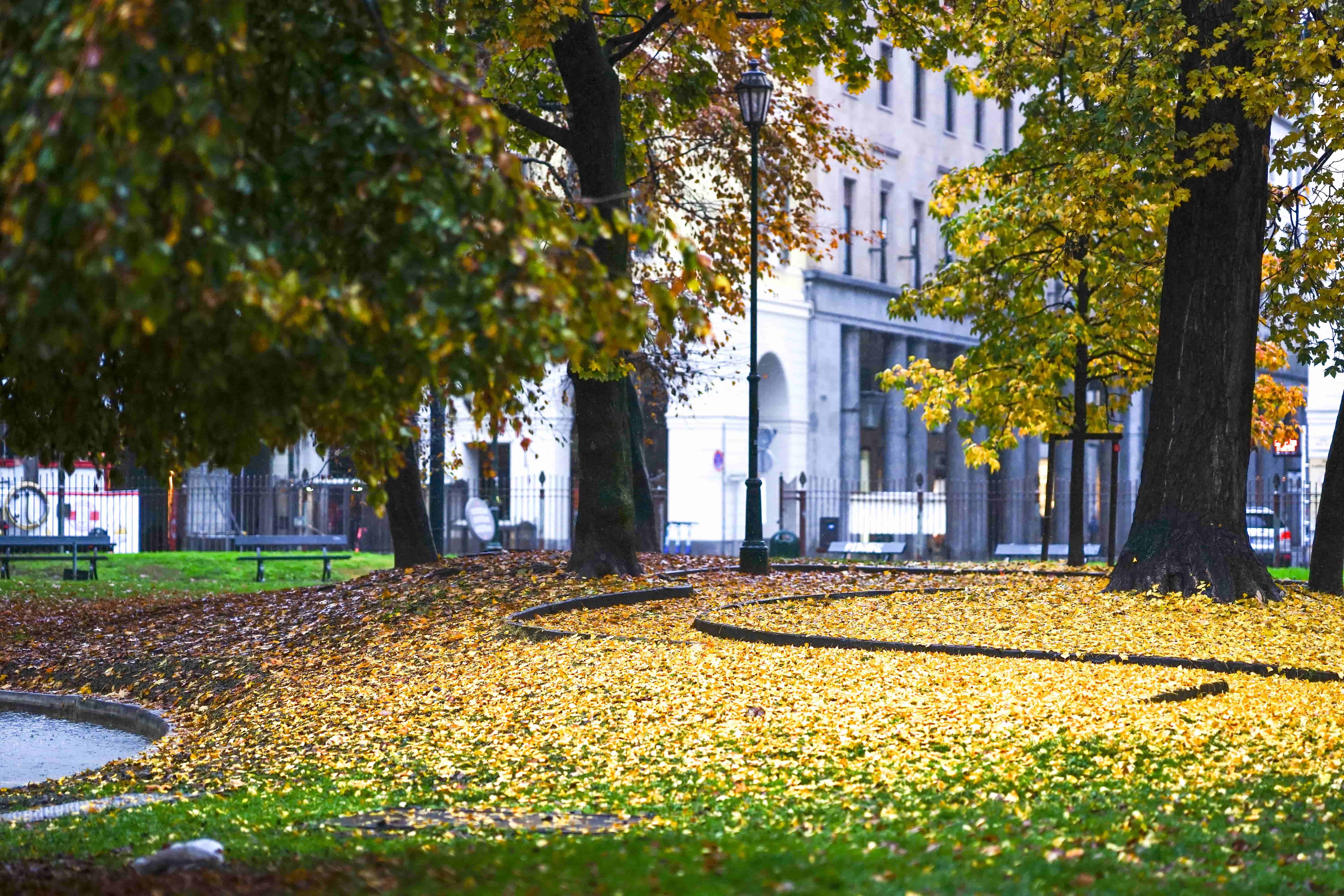 Autumn Grounds Maintenance for Commercial Properties in London: What to Plan For Now