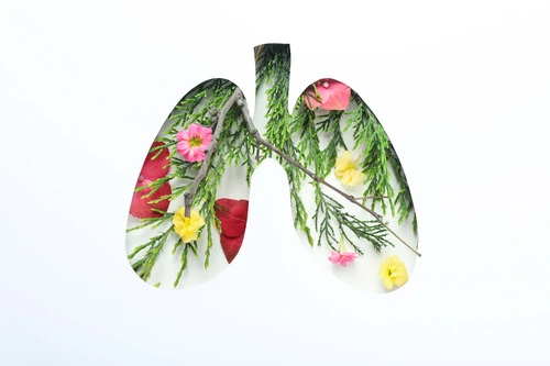 Improving Indoor Air Quality Through Maintenance