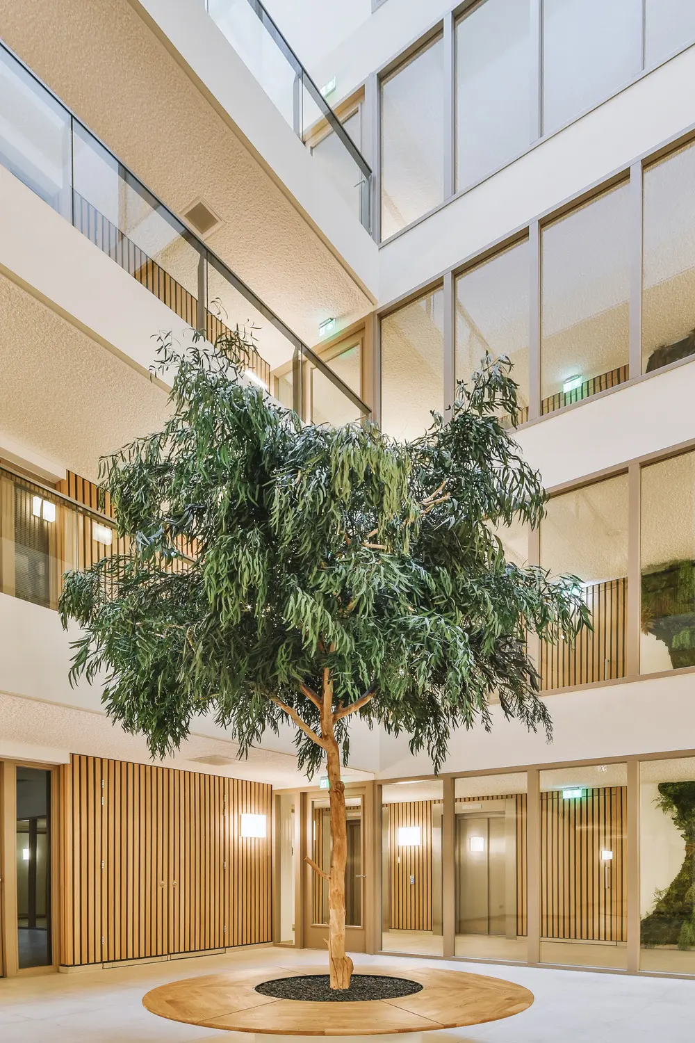 Indoor Landscaping - Indoor landscaping London