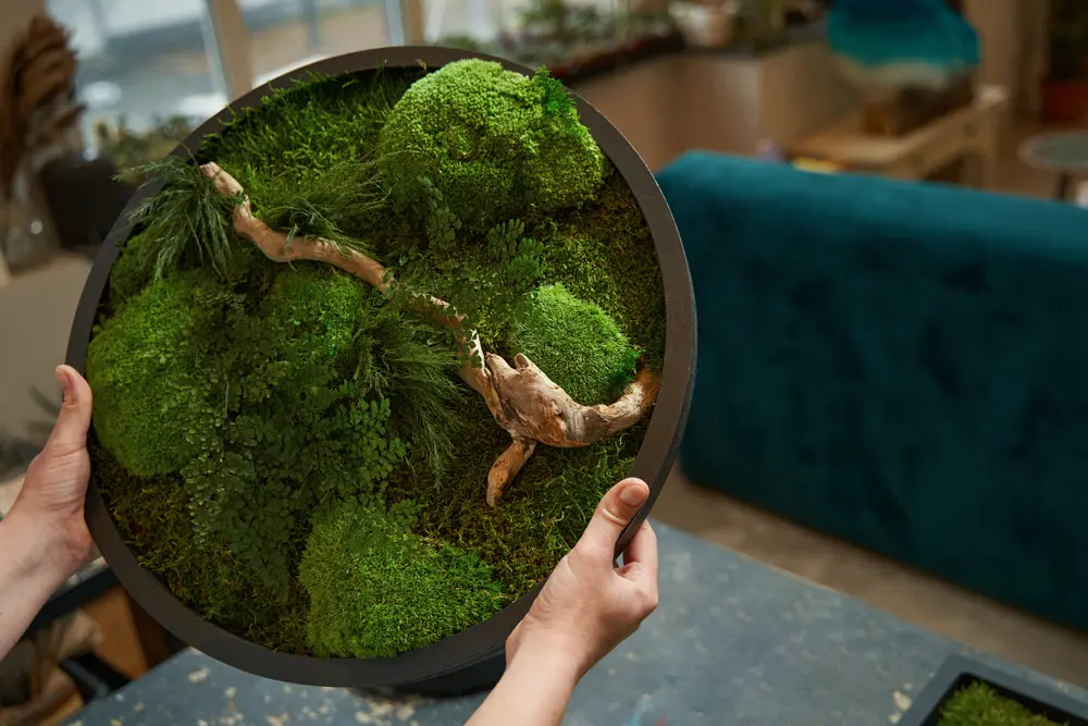woman-holding-picture-with-tropical-green-moss-2024-10-18-09-39-50-utc