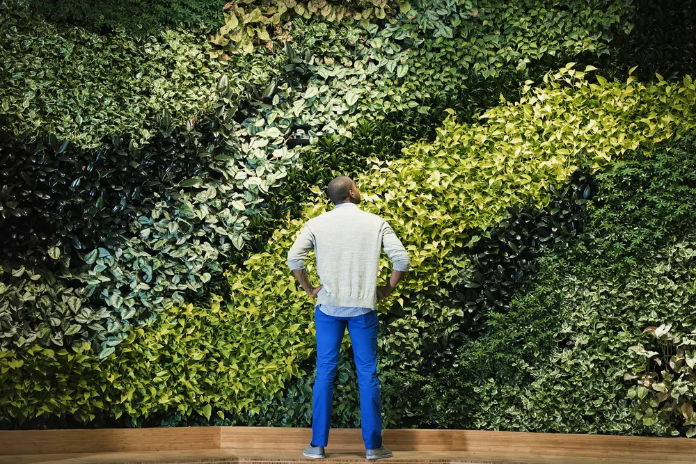 Indoor Landscaping: Improving Your Commercial Space in London