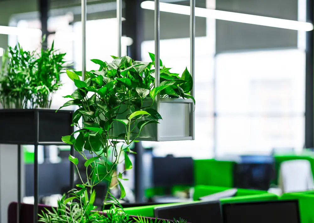 Commercial Landscaping London - Detailed Landscaping Services