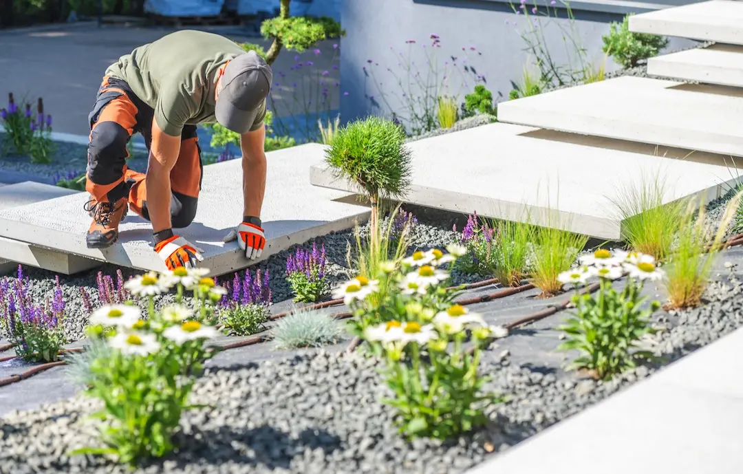 Why Landscaping Matters: How Outdoor Spaces Reflect Your Office's Image