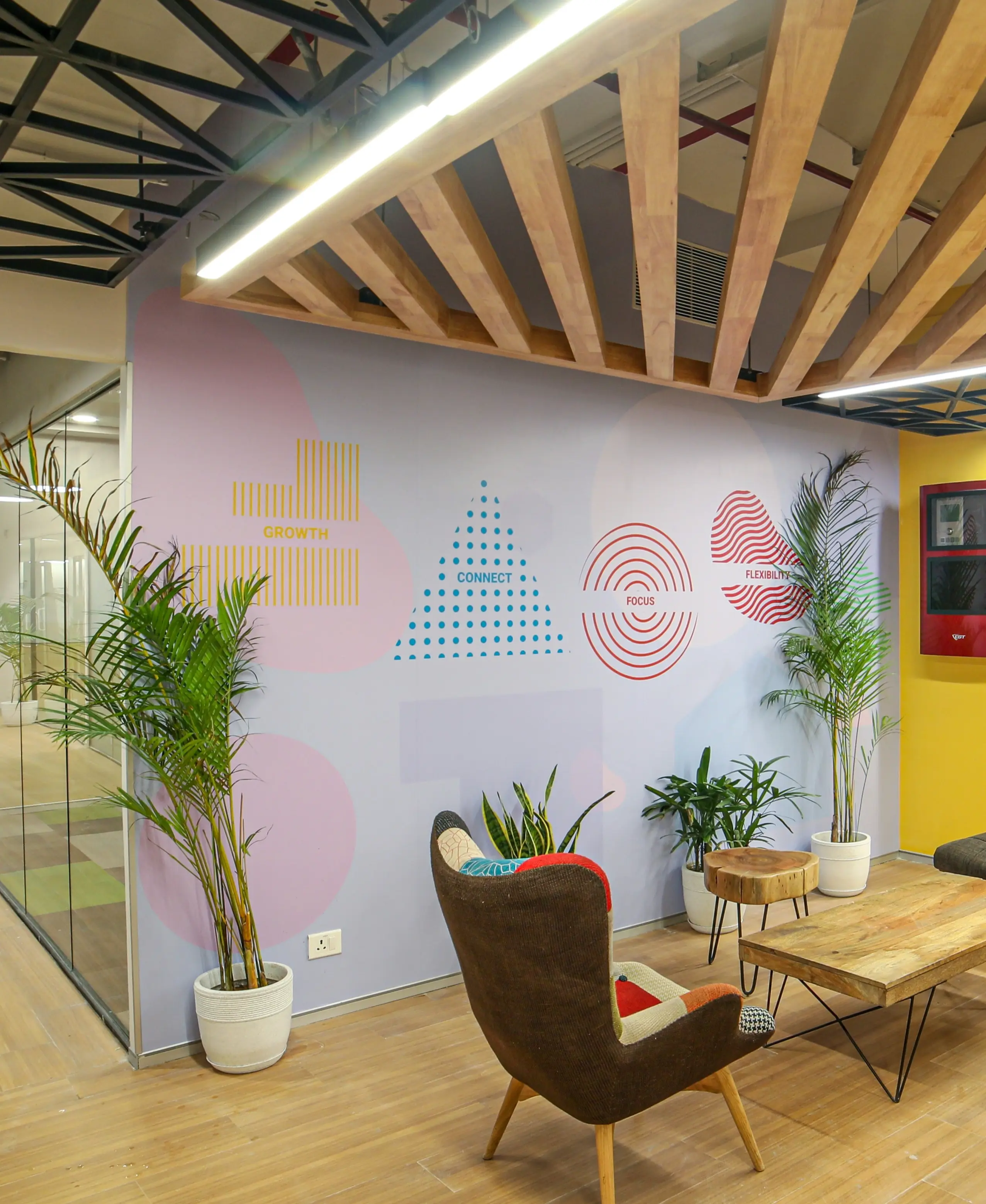 Professional Design and Decorating - Areas of Expertise