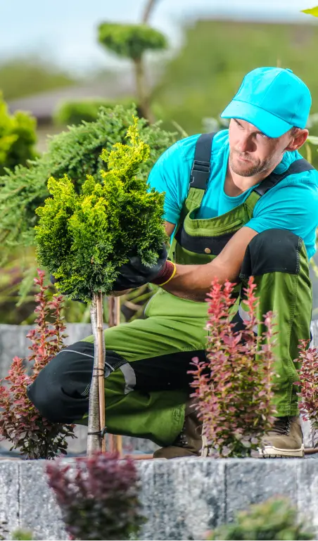 Commercial Landscaping London - Commercial Landscaping London