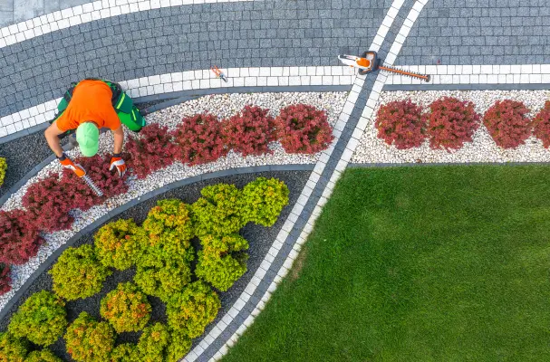 Commercial Landscaping London - Expertise and Safety