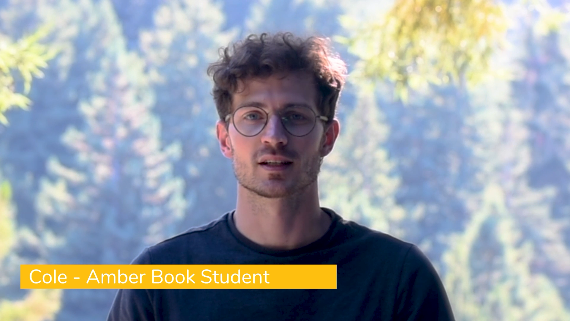 ARE Exam Prep - Architect Exam Prep Courses &amp; Resources | Amber Book