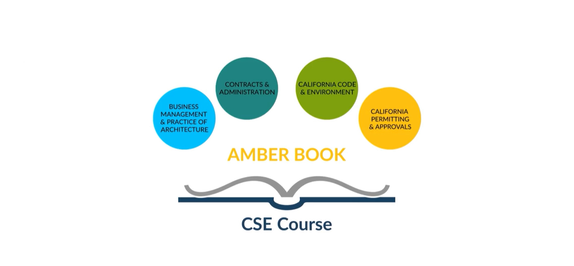 Amber Book California Supplemental Exam