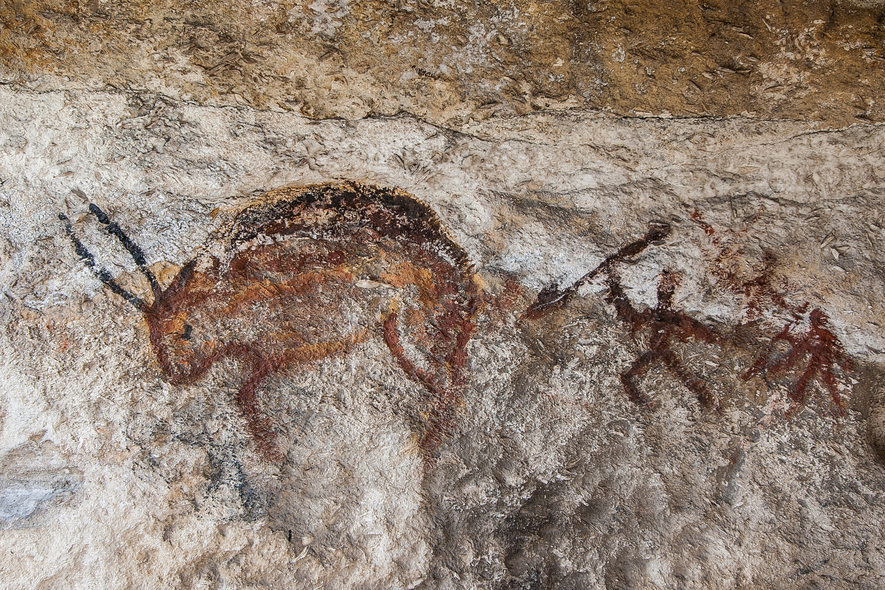 Photo d'un dessin réalisé sur les parois d’une grotte, représentant une scène de chasse.