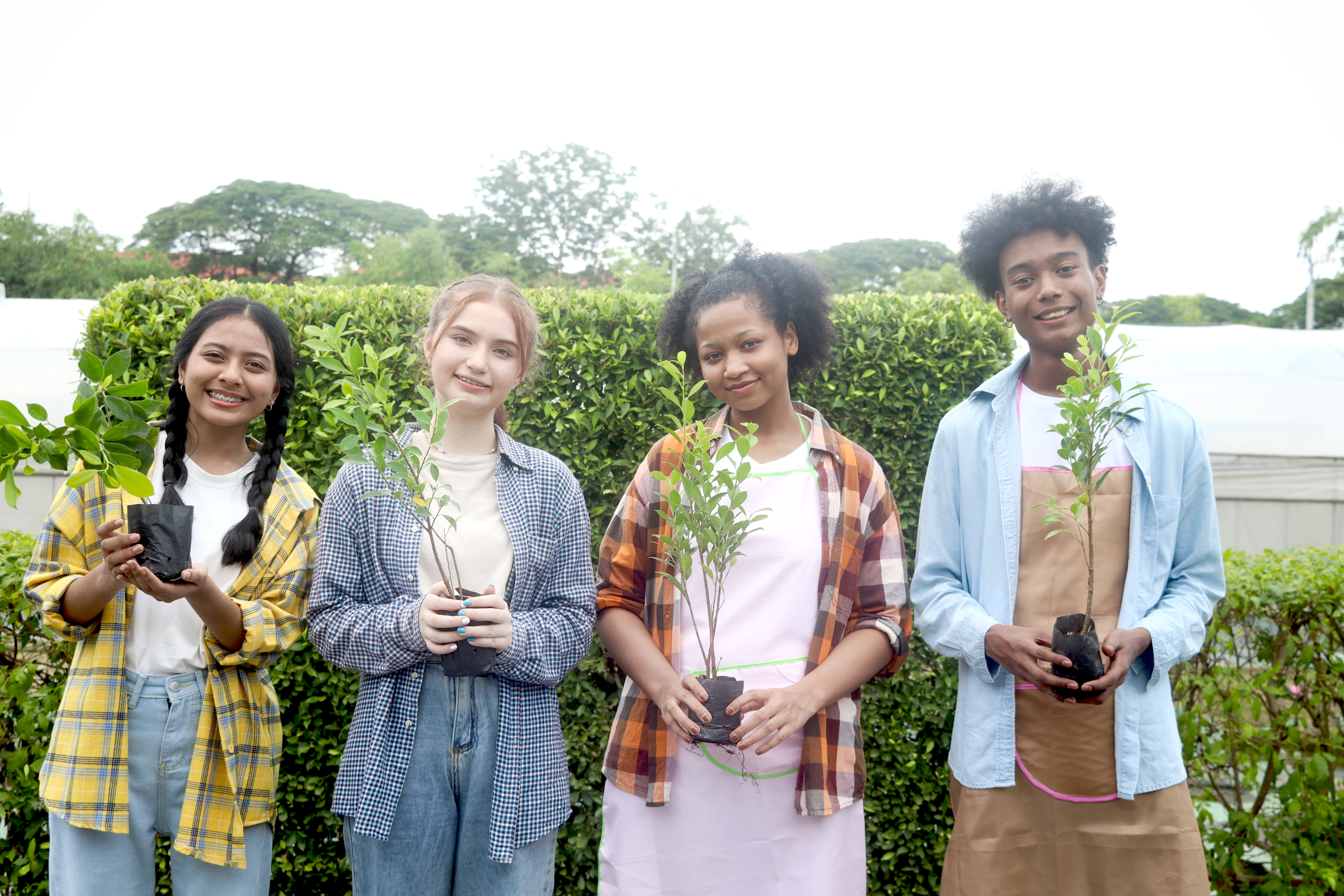 Photo d’adolescents qui avec des petits arbres à planter.