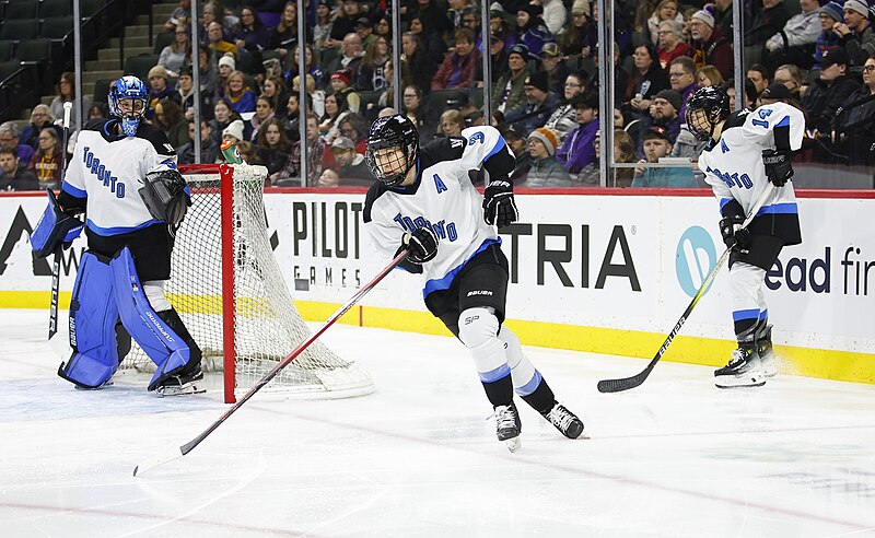 Photo d’une partie de hockey sur glace de la Ligue professionnelle de hockey féminin. 