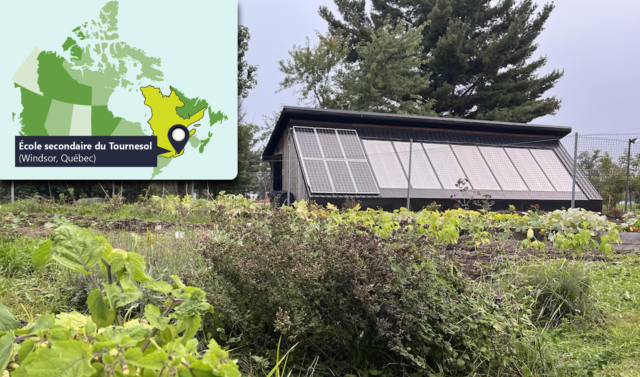 Photo de la Tourno-Serre, un projet de jardin et de serre autosuffisante de l’école Tournesol, au Québec.  