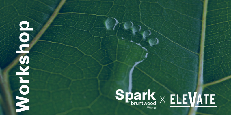 Carbon Literacy Training (Virtual)