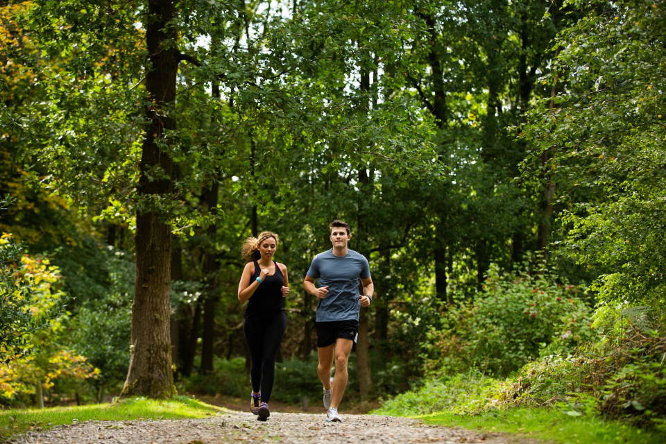 Walking and running routes at Alderley Park