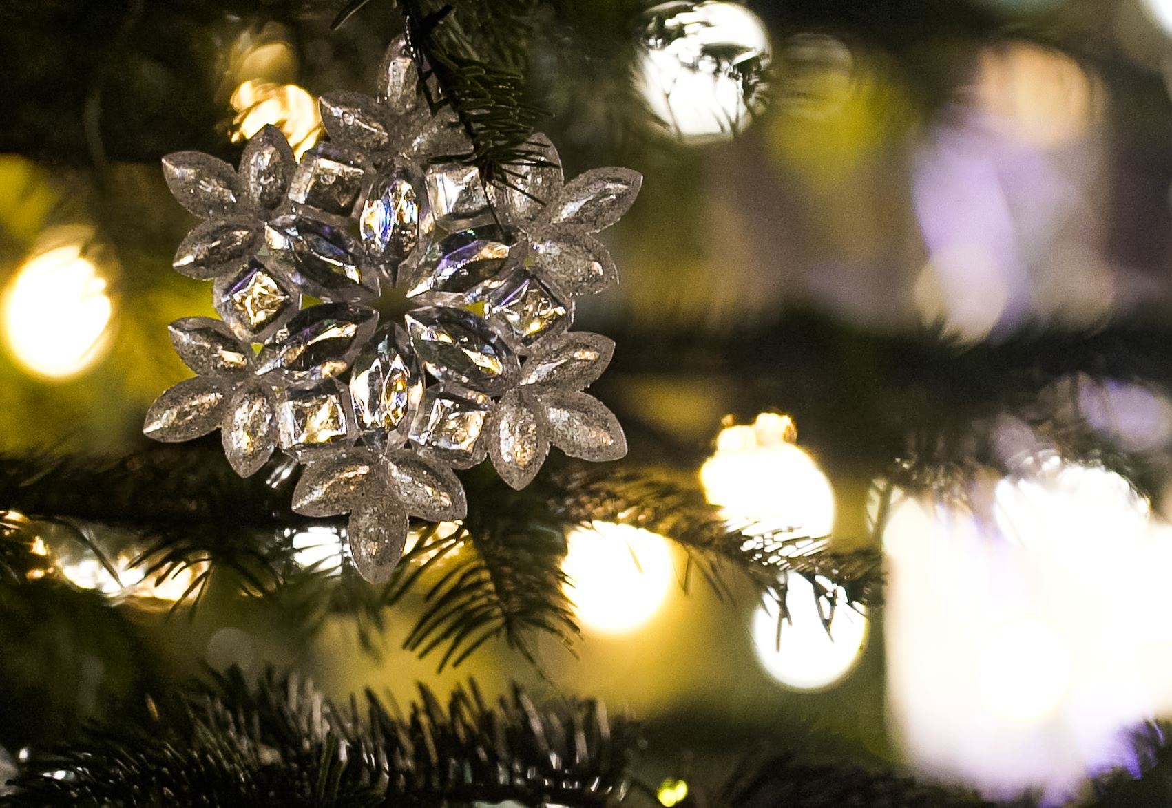 The Wishing Tree in Birmingham | Bruntwood