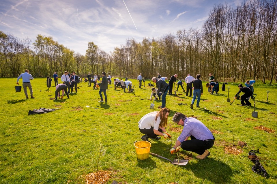 Tree planting