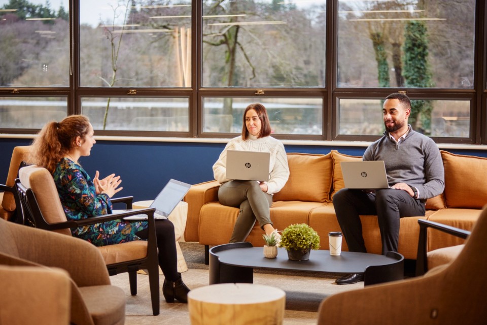 three colleagues sat on sofas with their laptops talking in front of windows