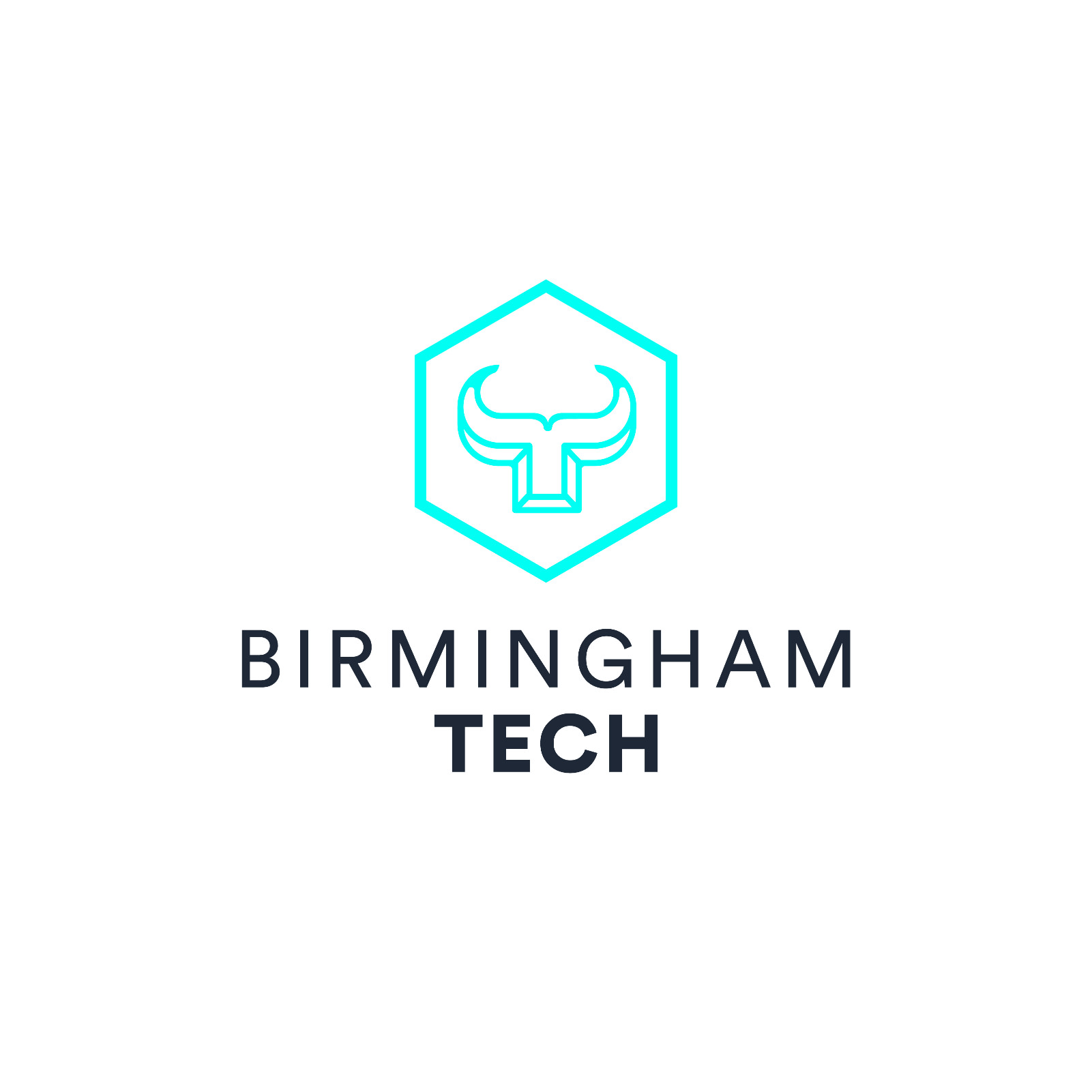 Birmingham Tech logo