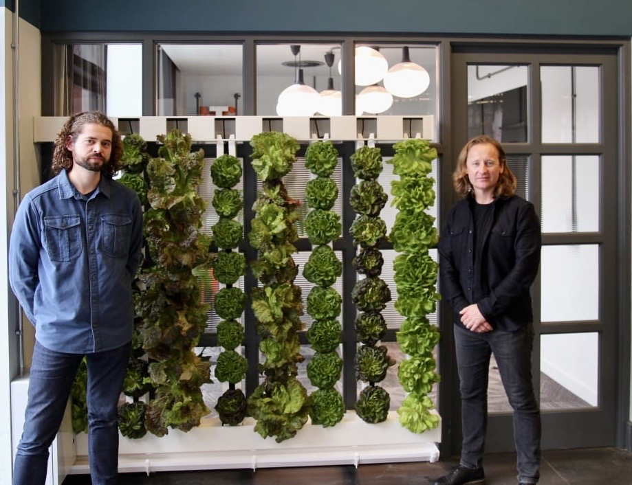 The UK’s first edible wall in a workspace is coming to the Cotton ...