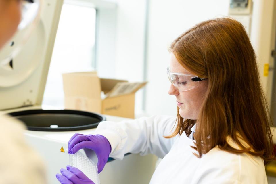 girl looking at samples in laboratory 