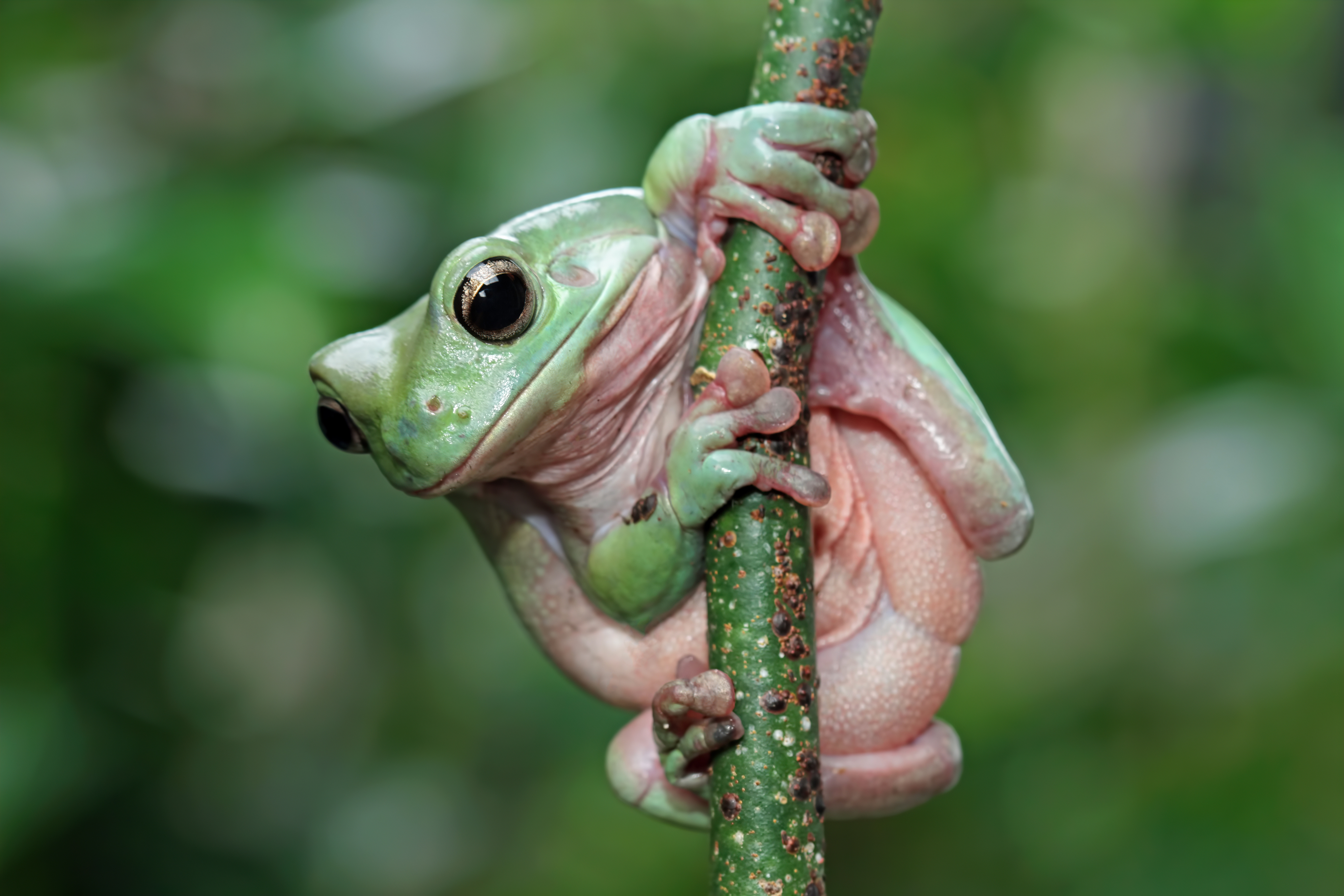 AdobeStock 582244767