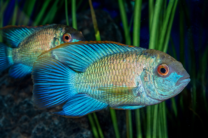 AdobeStock 139436038 copy sec4