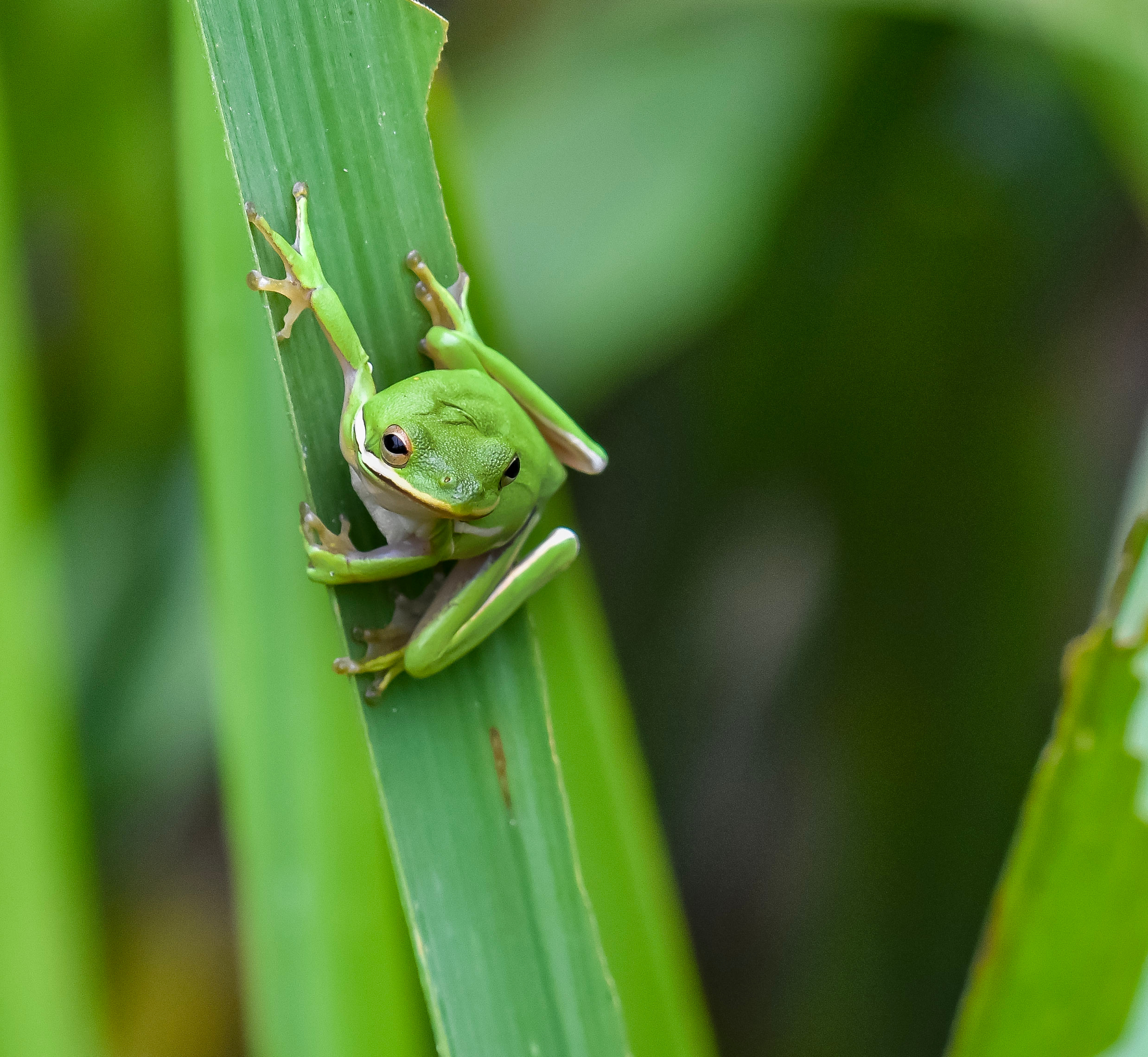 AdobeStock 394476838