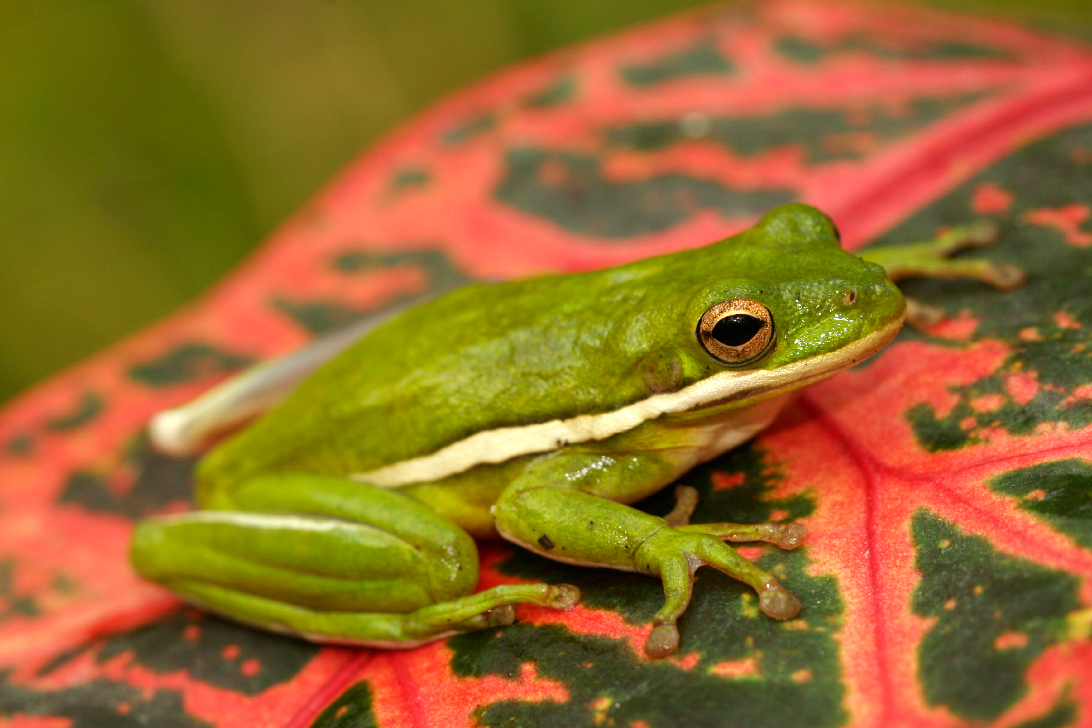 AdobeStock 582244767