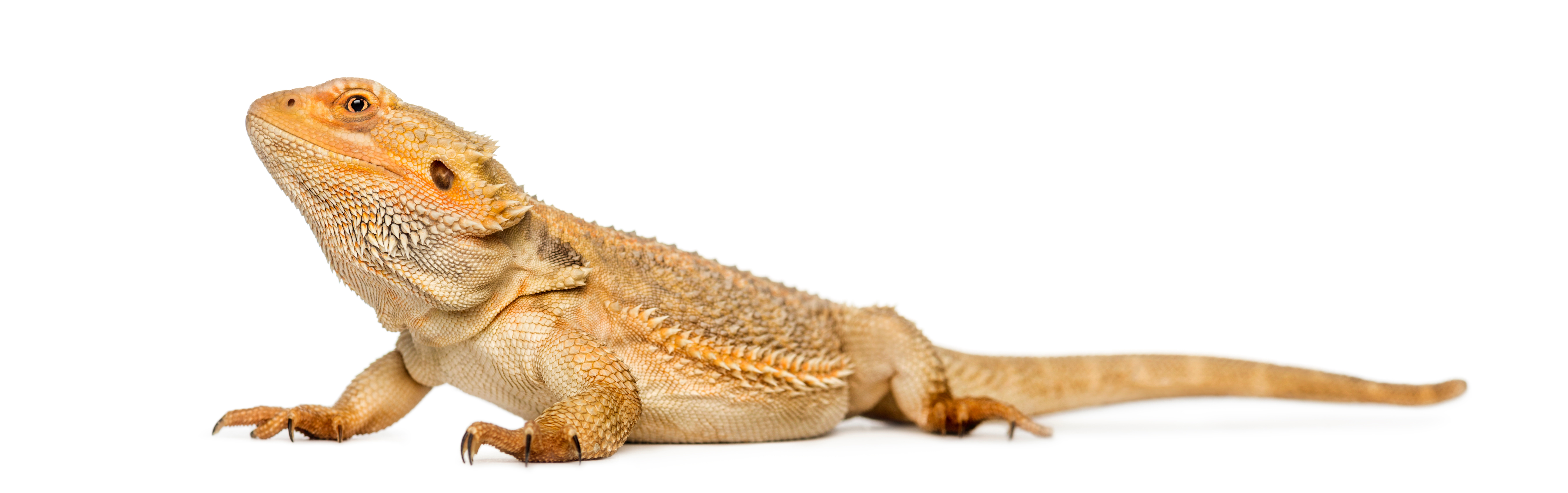 AdobeStock 60739425