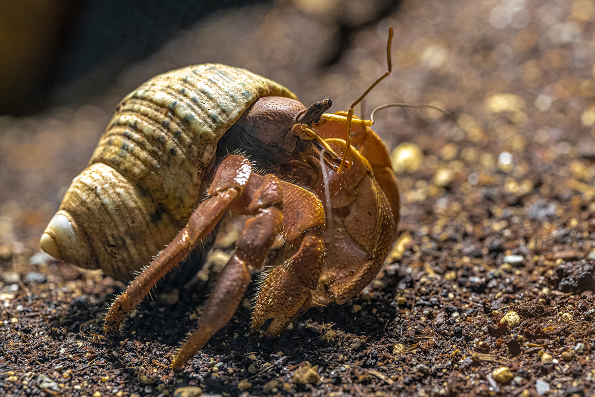 AdobeStock 525878125 copy sec3