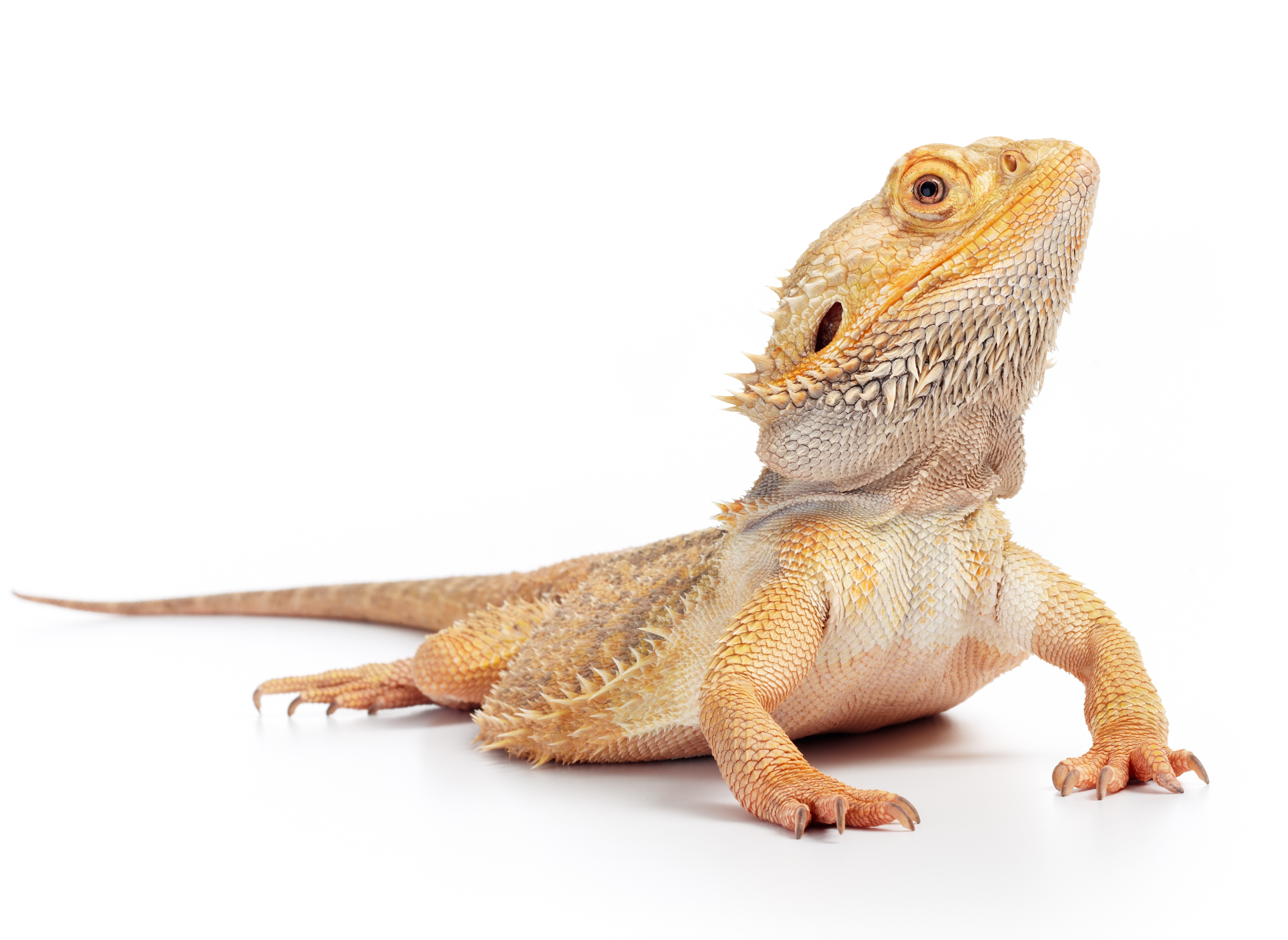 AdobeStock 17349231