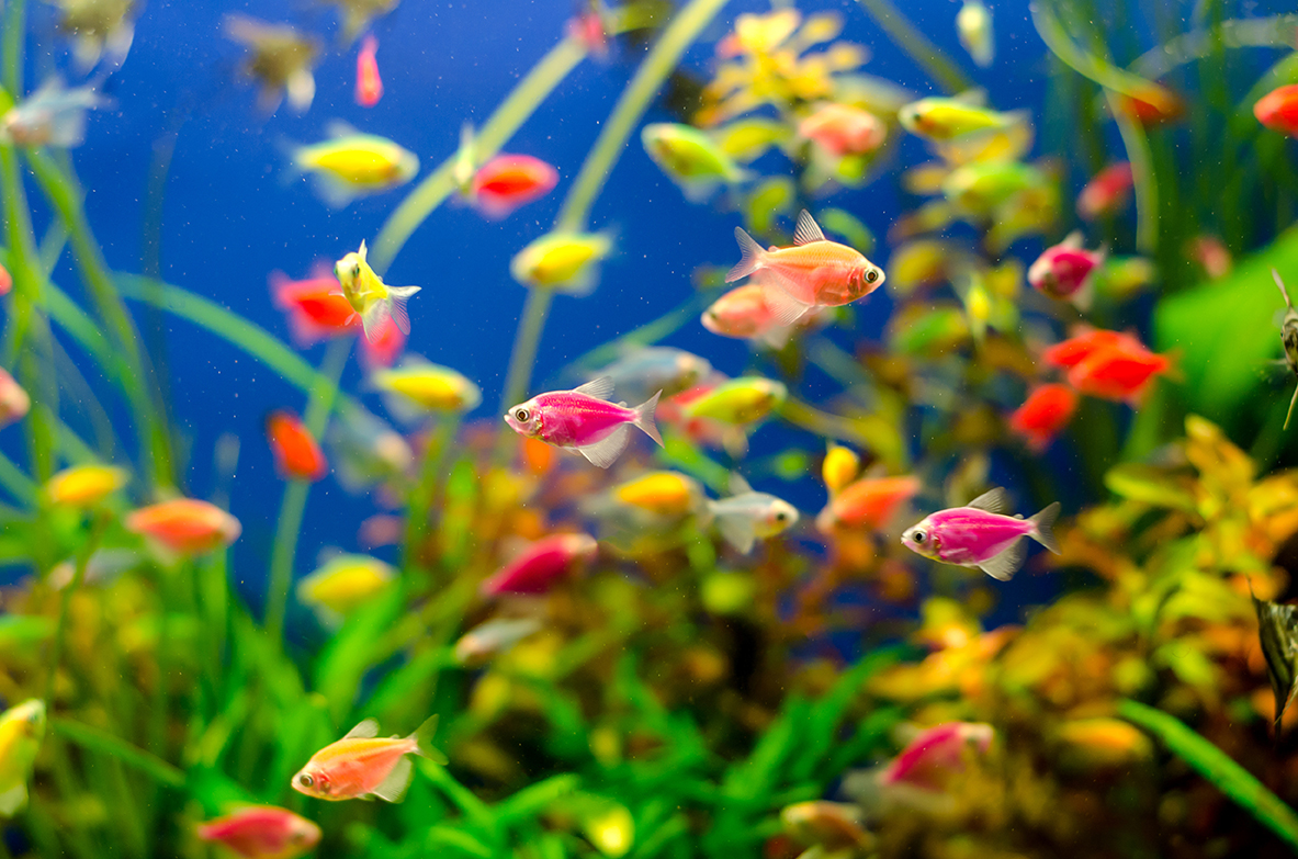 AdobeStock 221136535 copy sec2