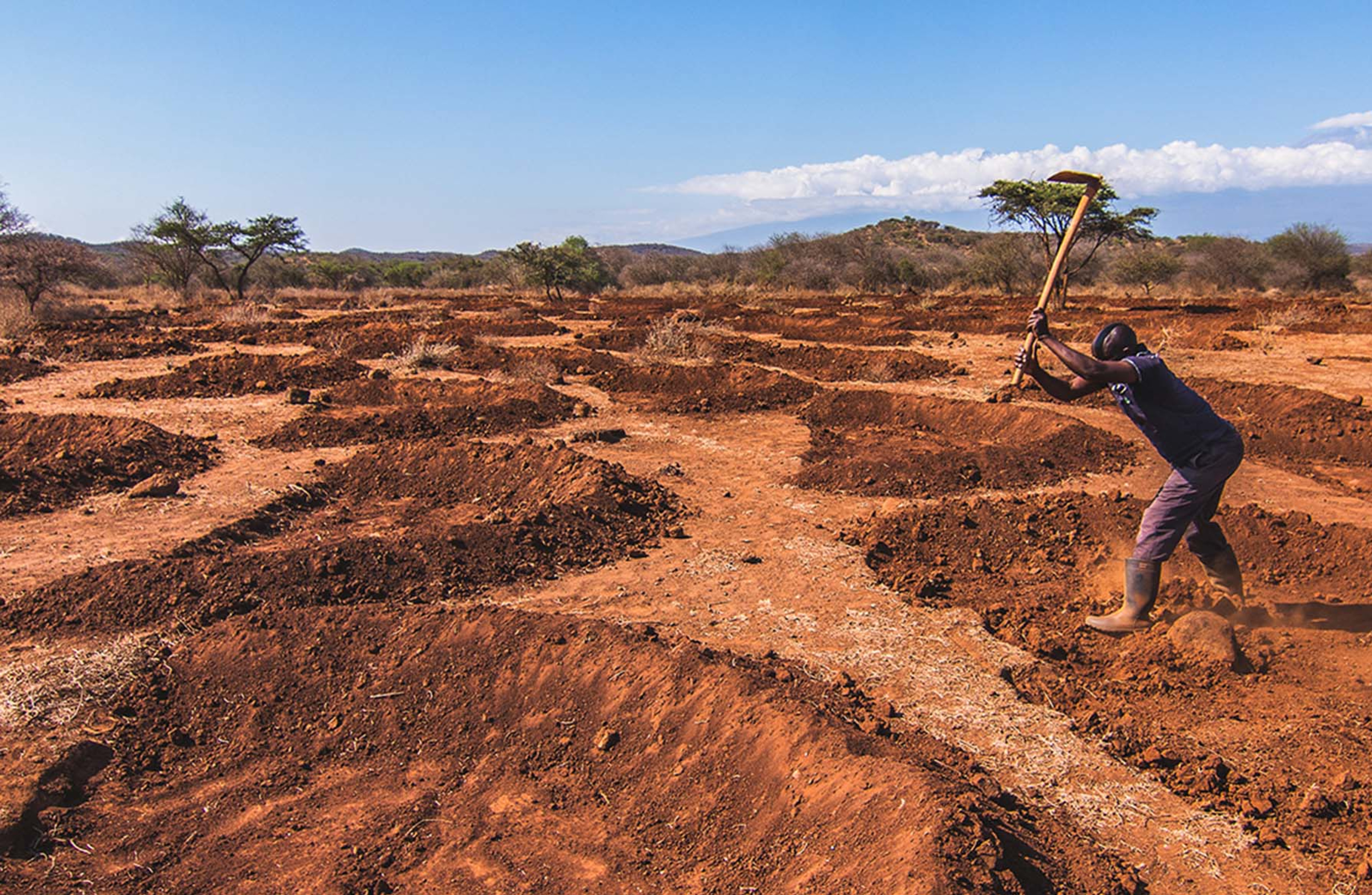 Digging bunds in Kenya