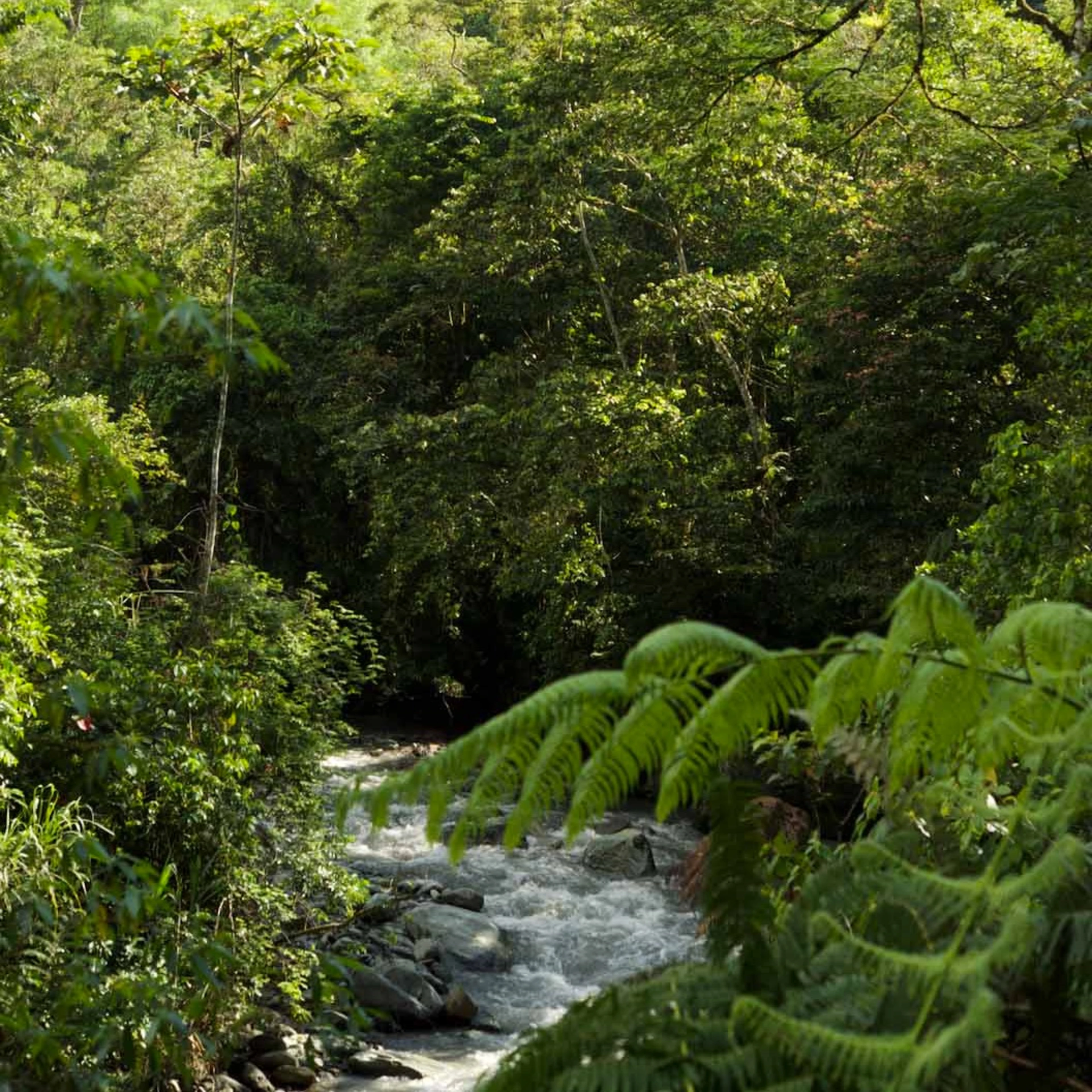 Art to Acres carousel 2