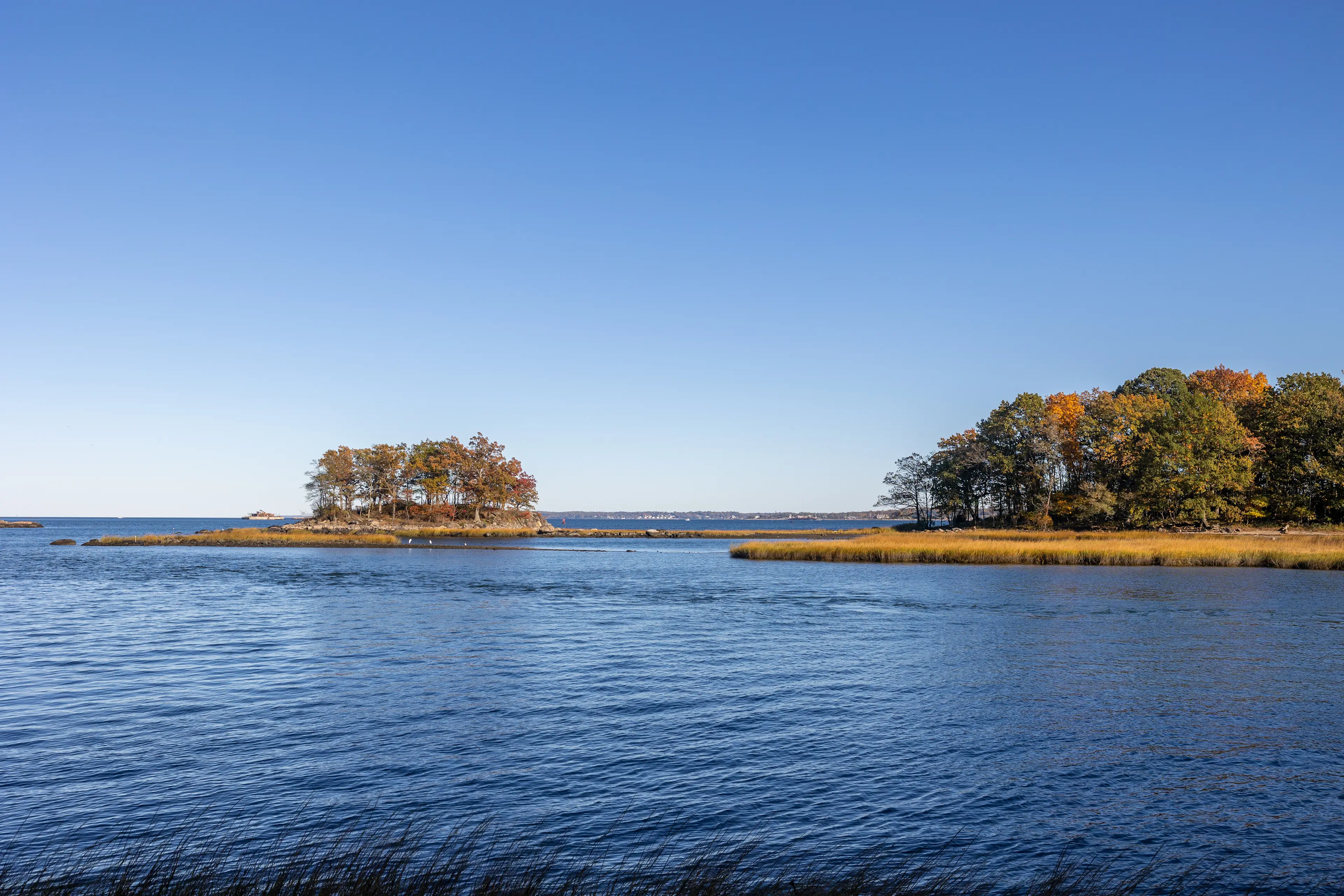 Natural Areas Conservancy Main Image