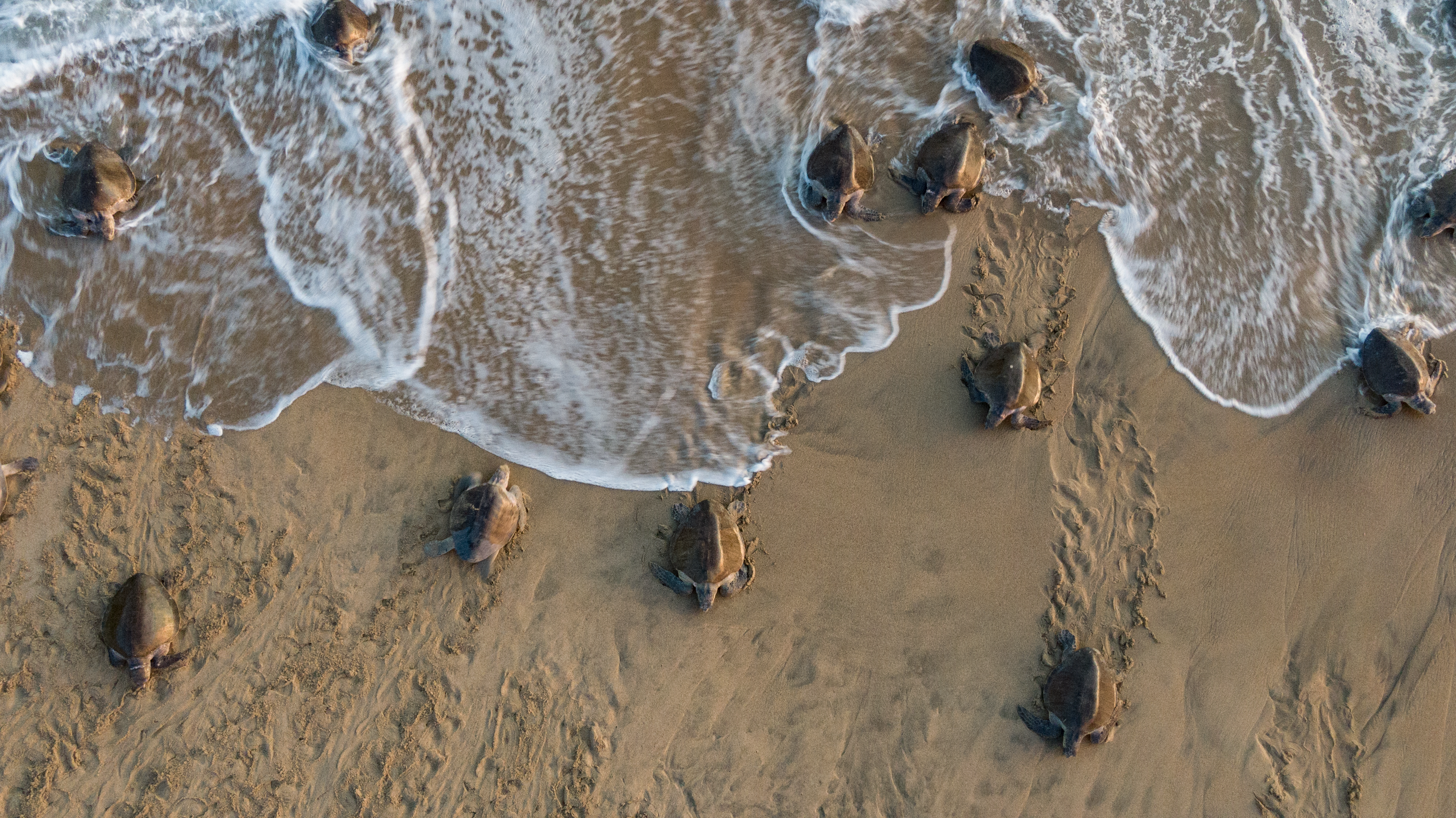 broader benefits image 