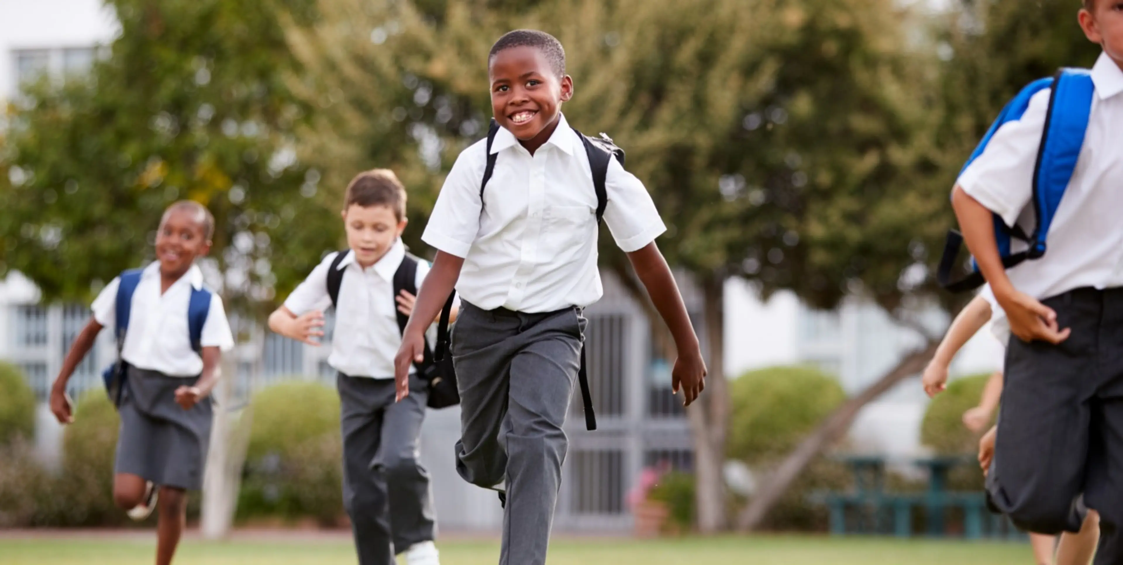 hero image for back to school in a green way