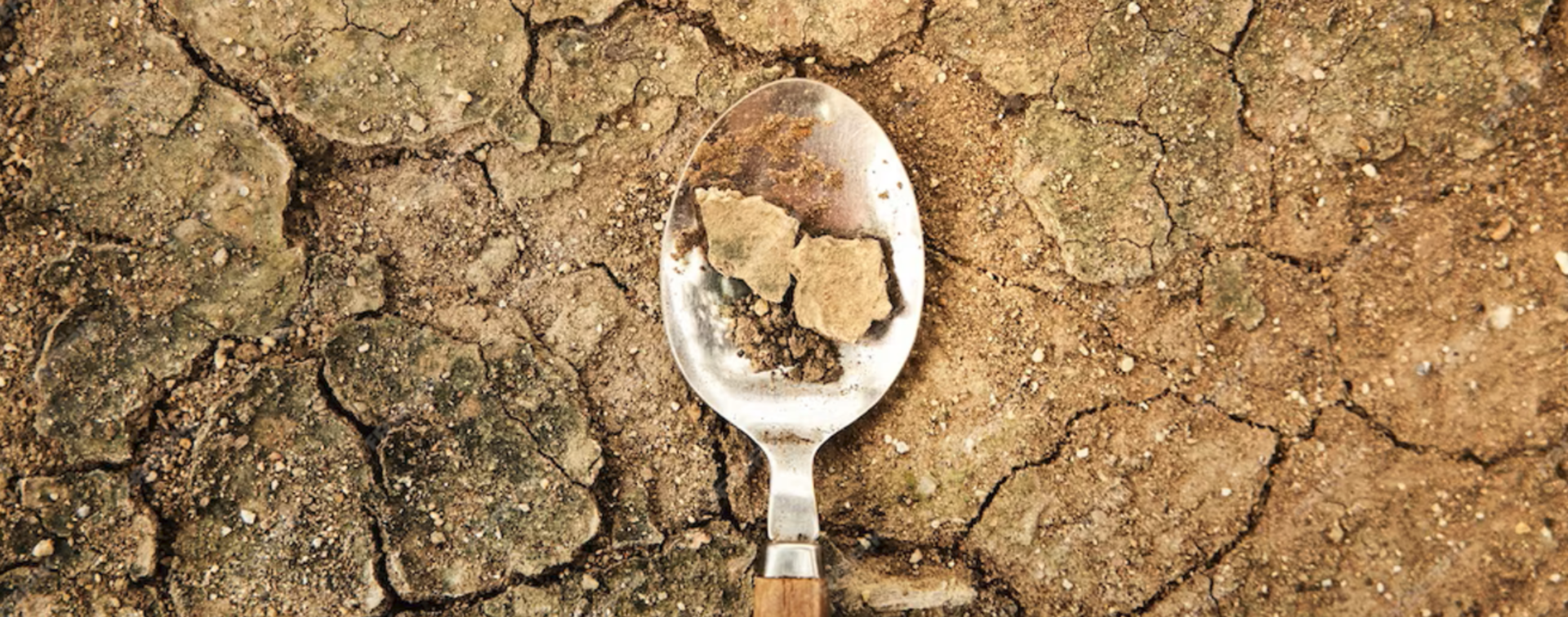 Reboot Food Campaign
