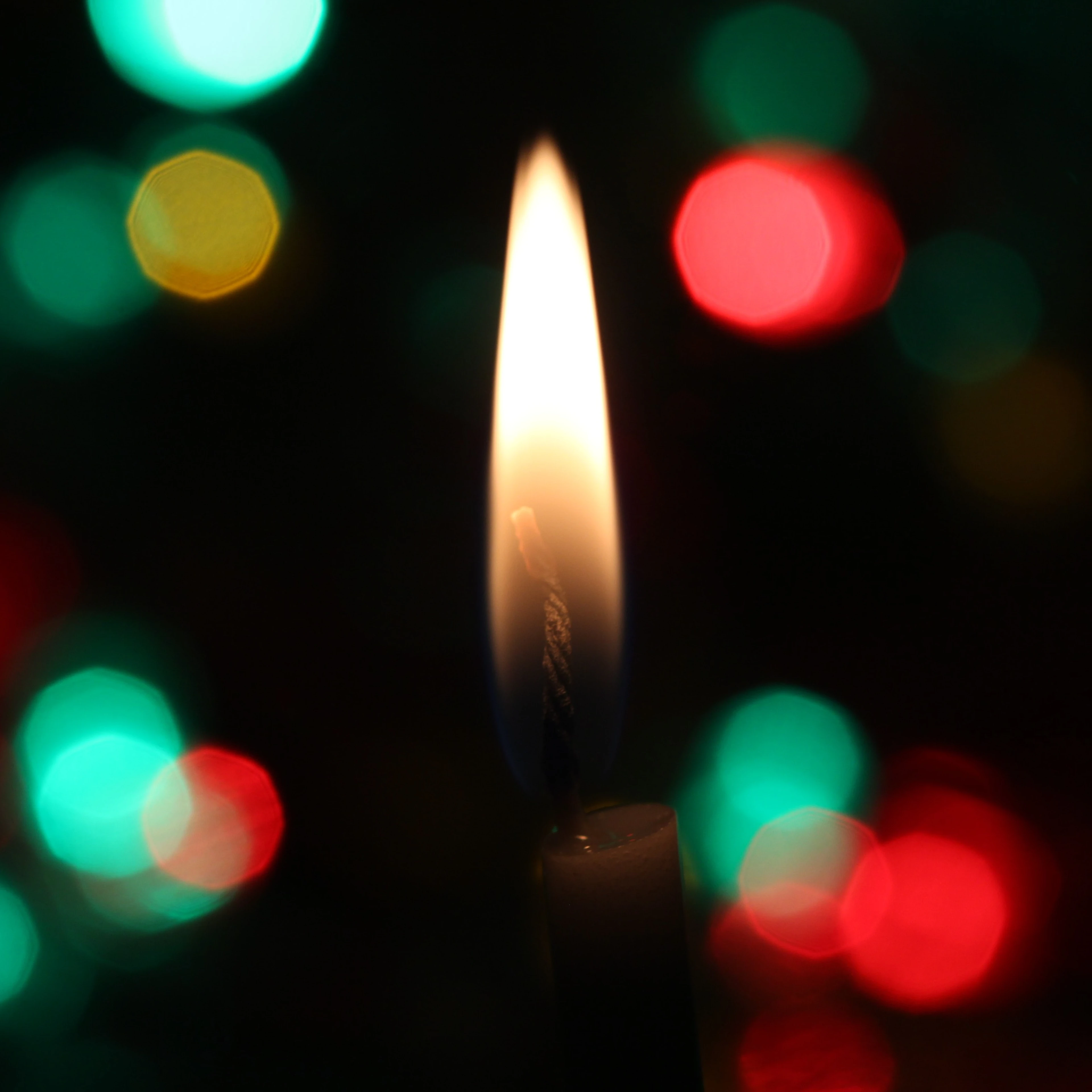 festive light
