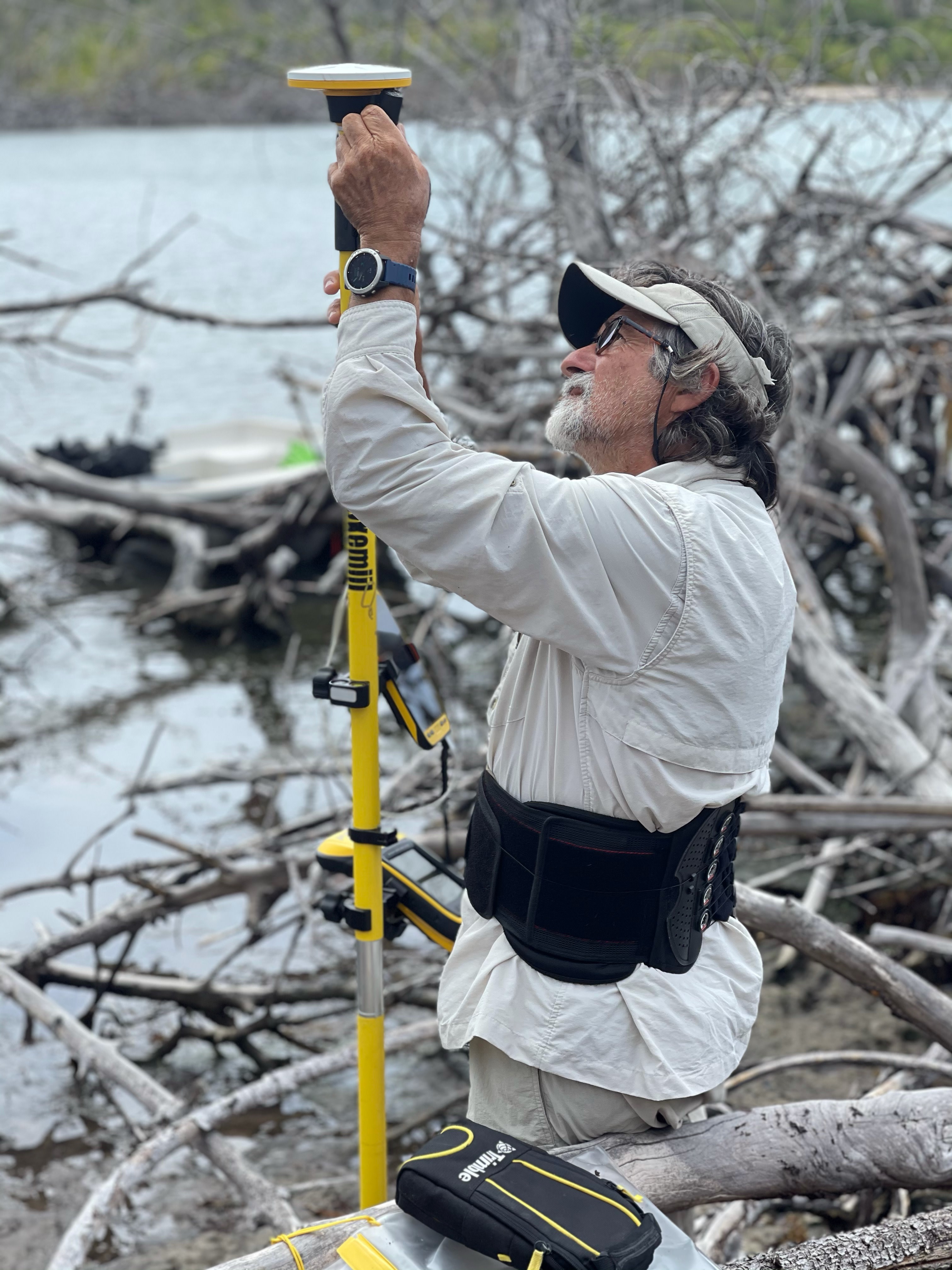 Broader benefits of seagrass 