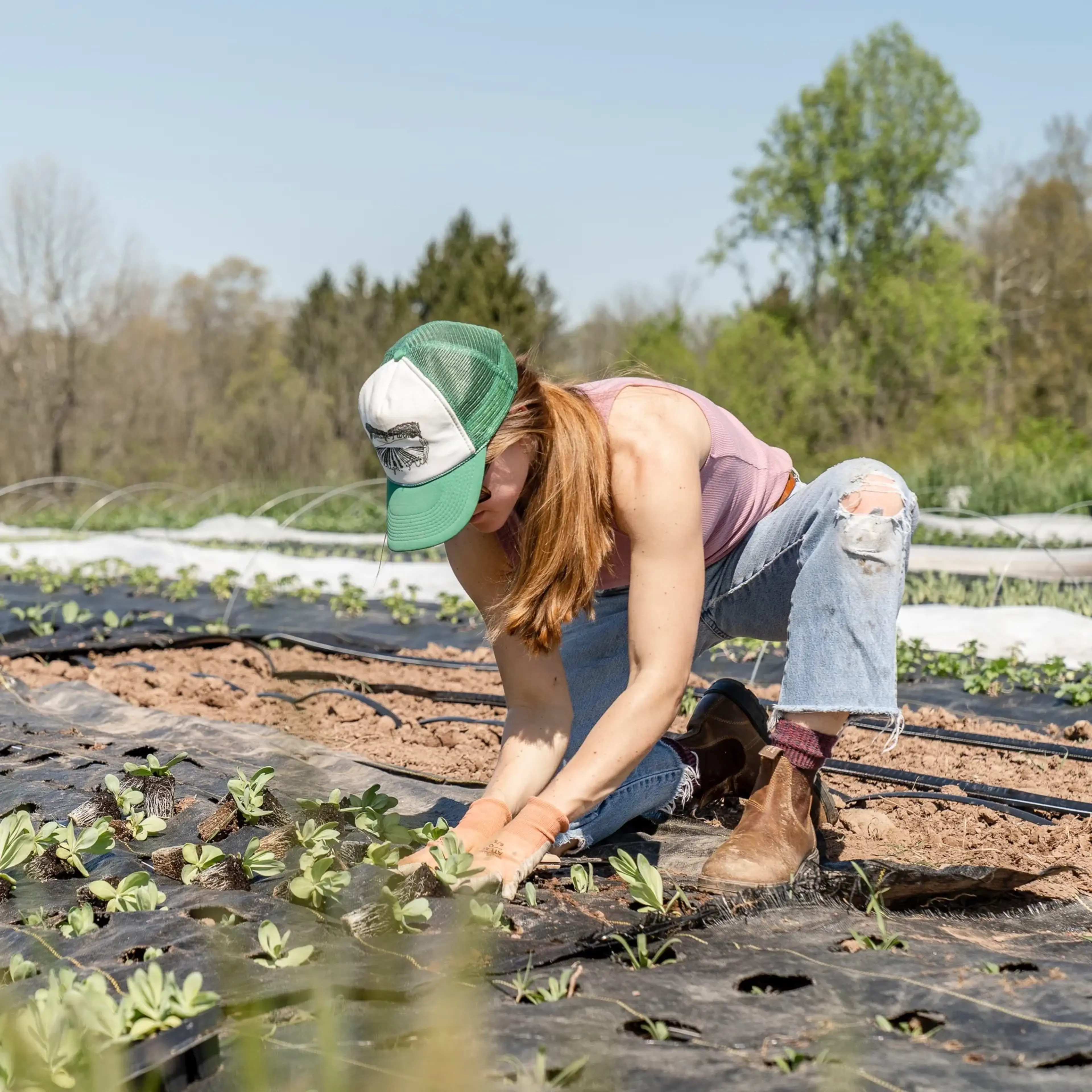 Get social - planting in local community garden