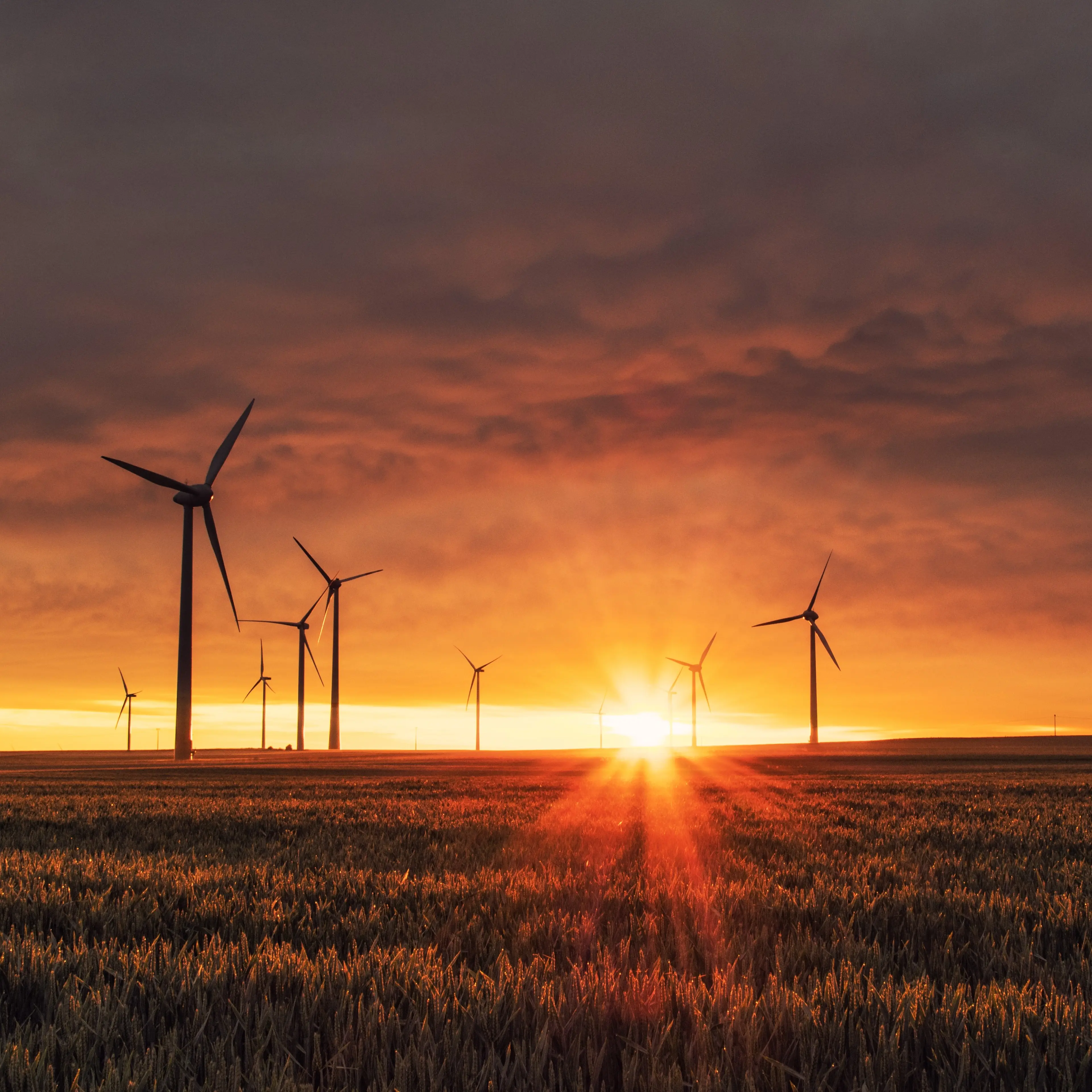 renewable energy push