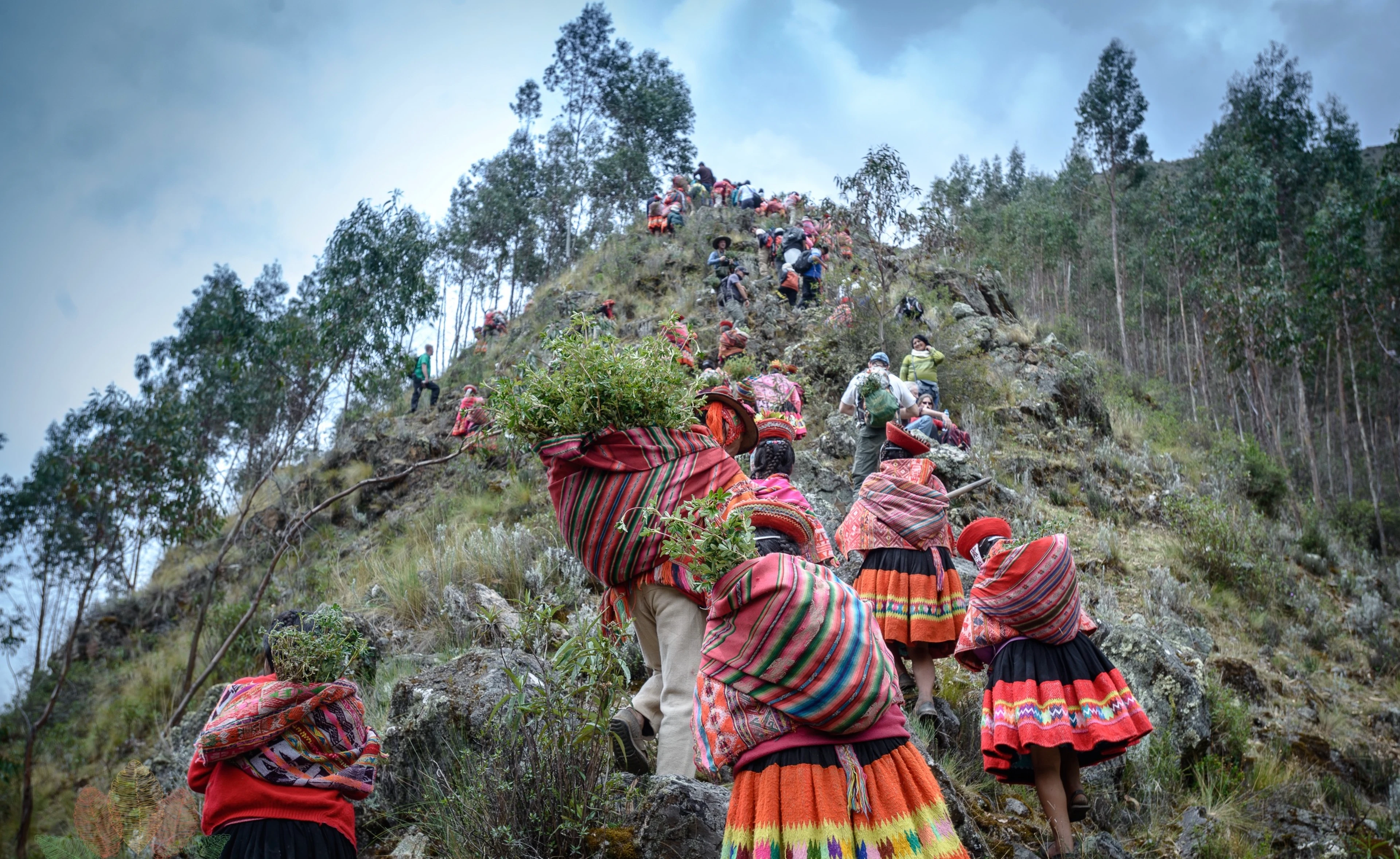 Forest Ecosystem Restoration - Andes