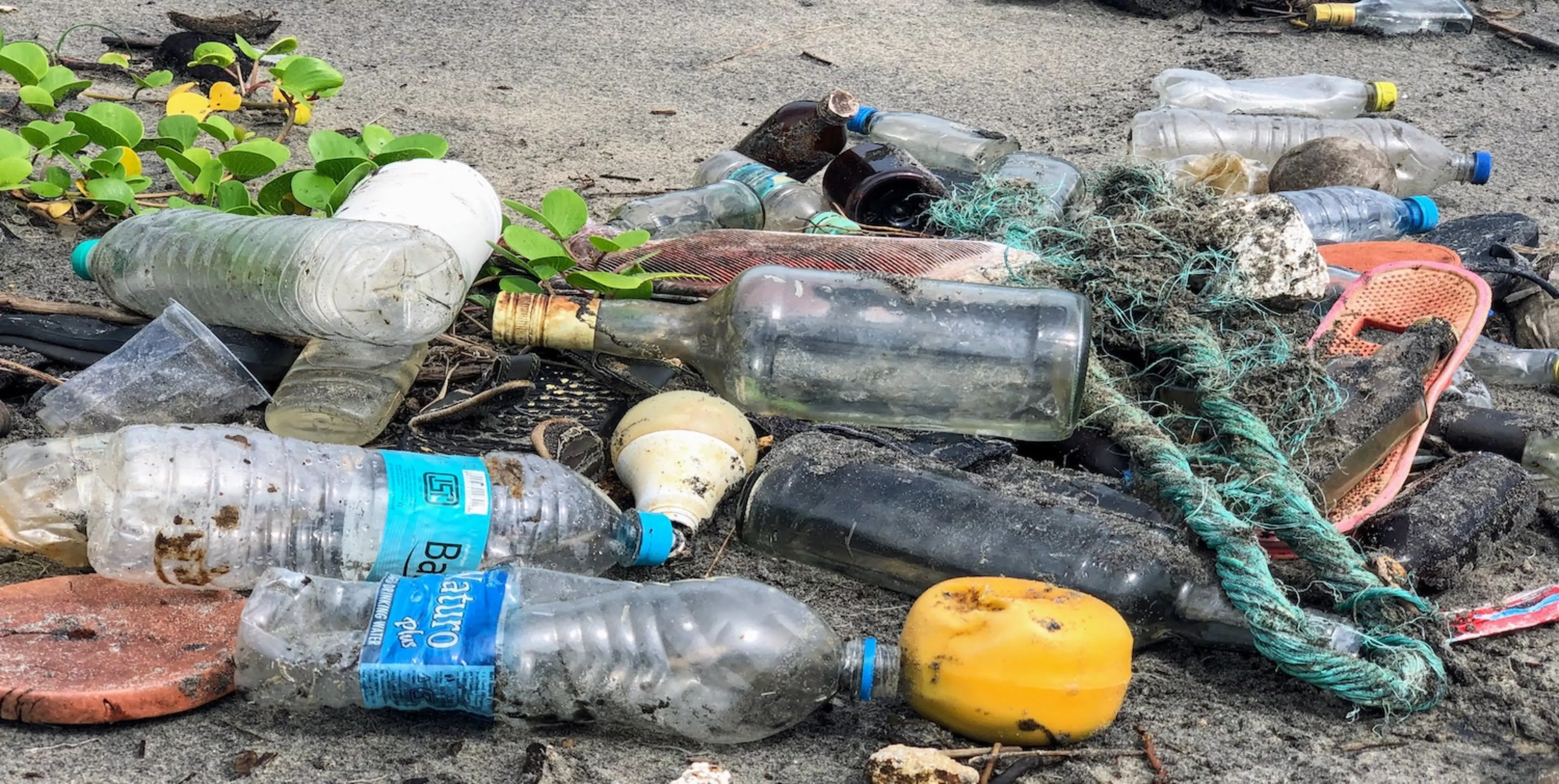 hero image for OceanKita