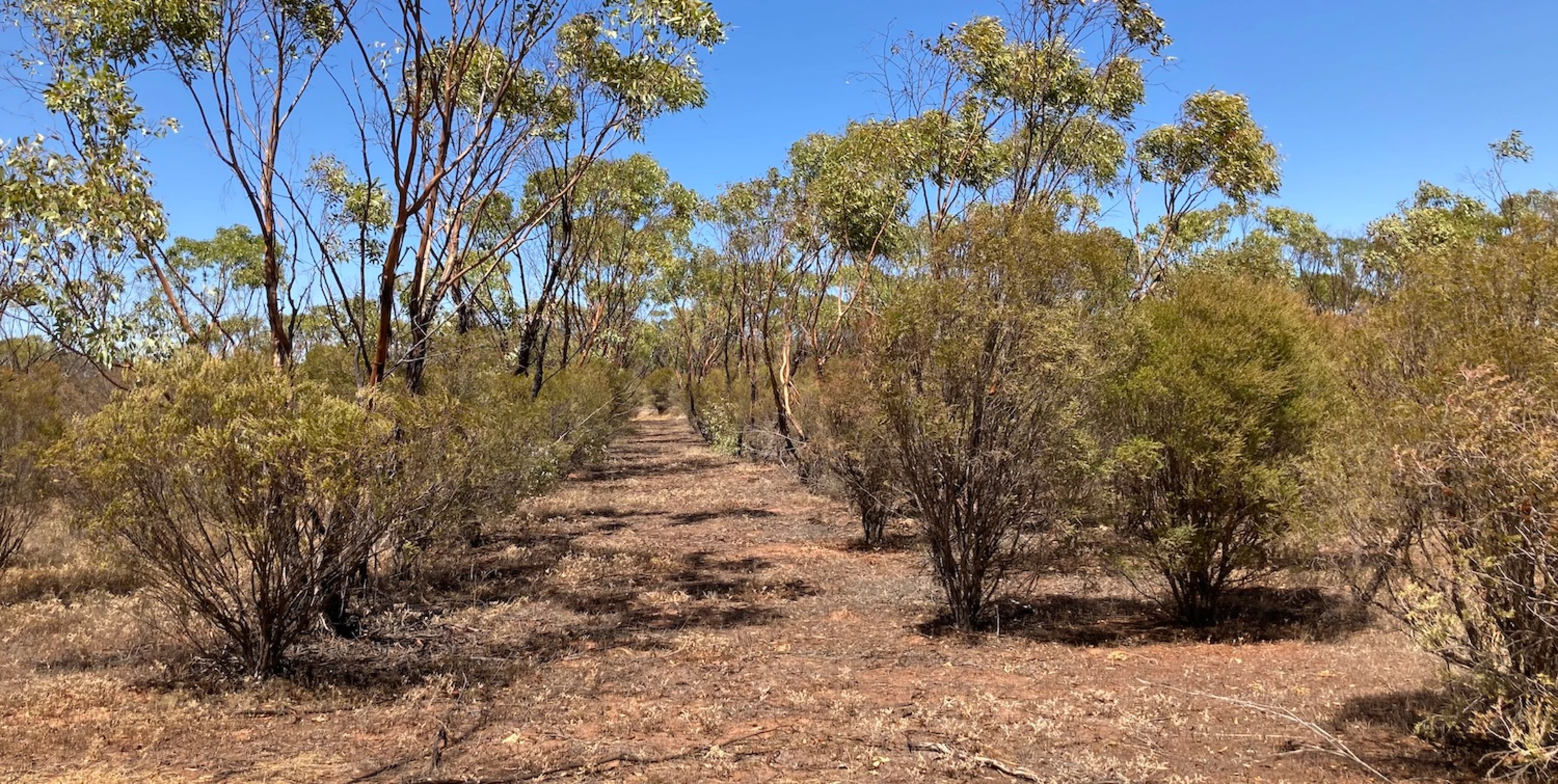 Hero image for InterEarth